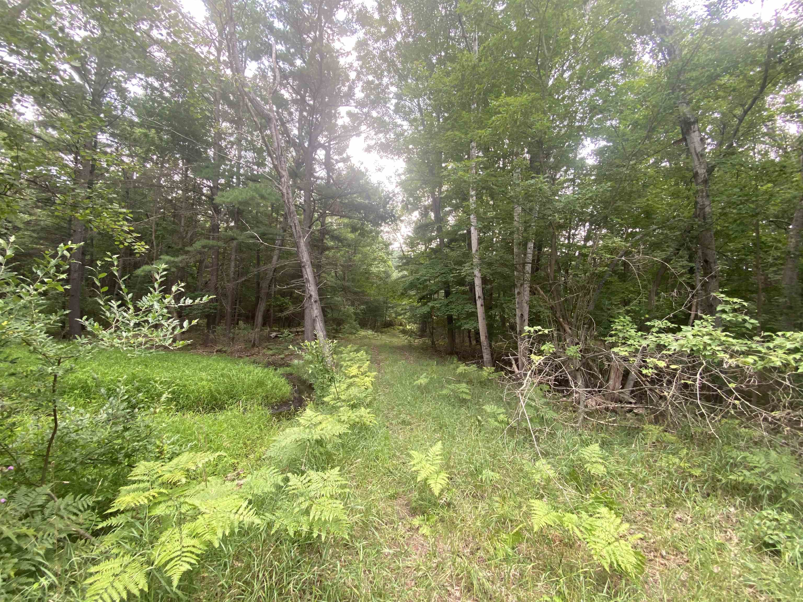 3091 Scenic Hills Drive Acme Township MI 49690