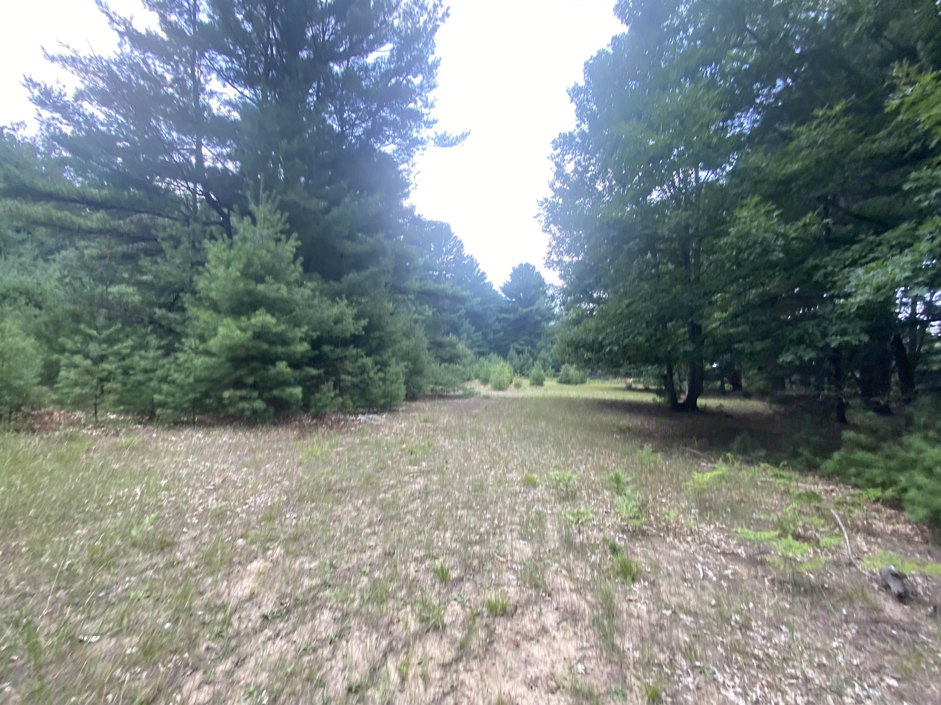 3091 Scenic Hills Drive Acme Township MI 49690