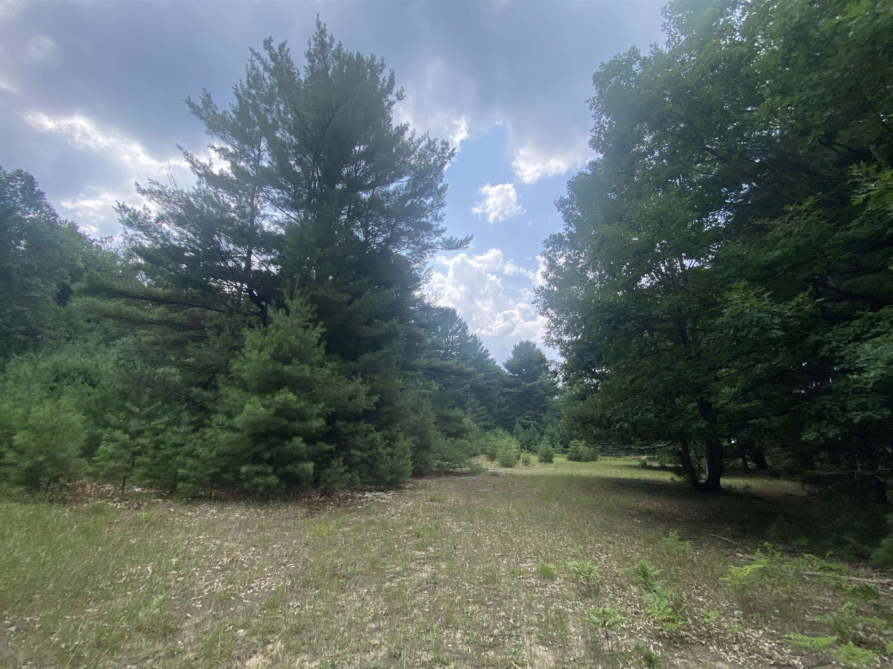 3091 Scenic Hills Drive Acme Township MI 49690