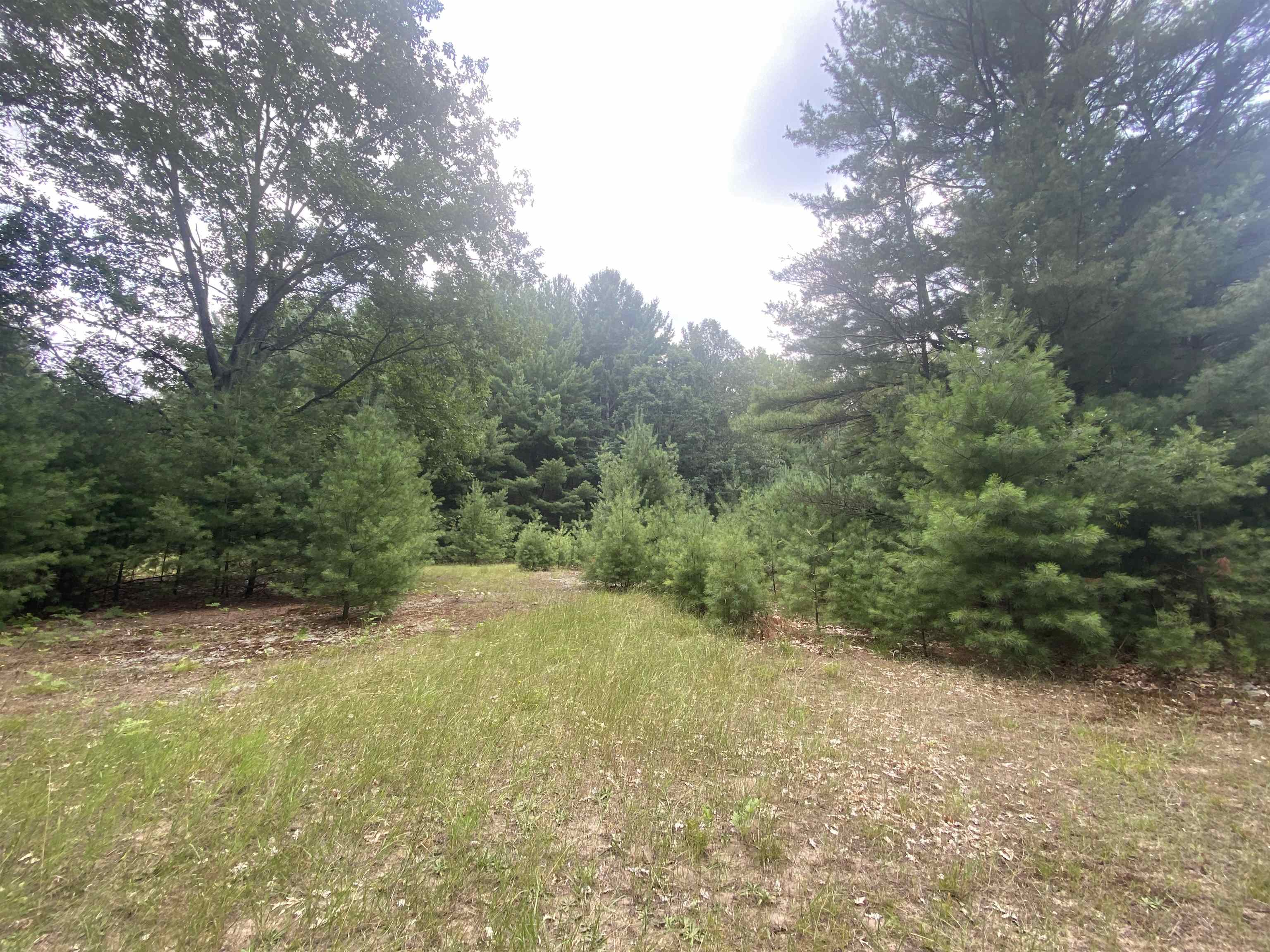 3091 Scenic Hills Drive Acme Township MI 49690
