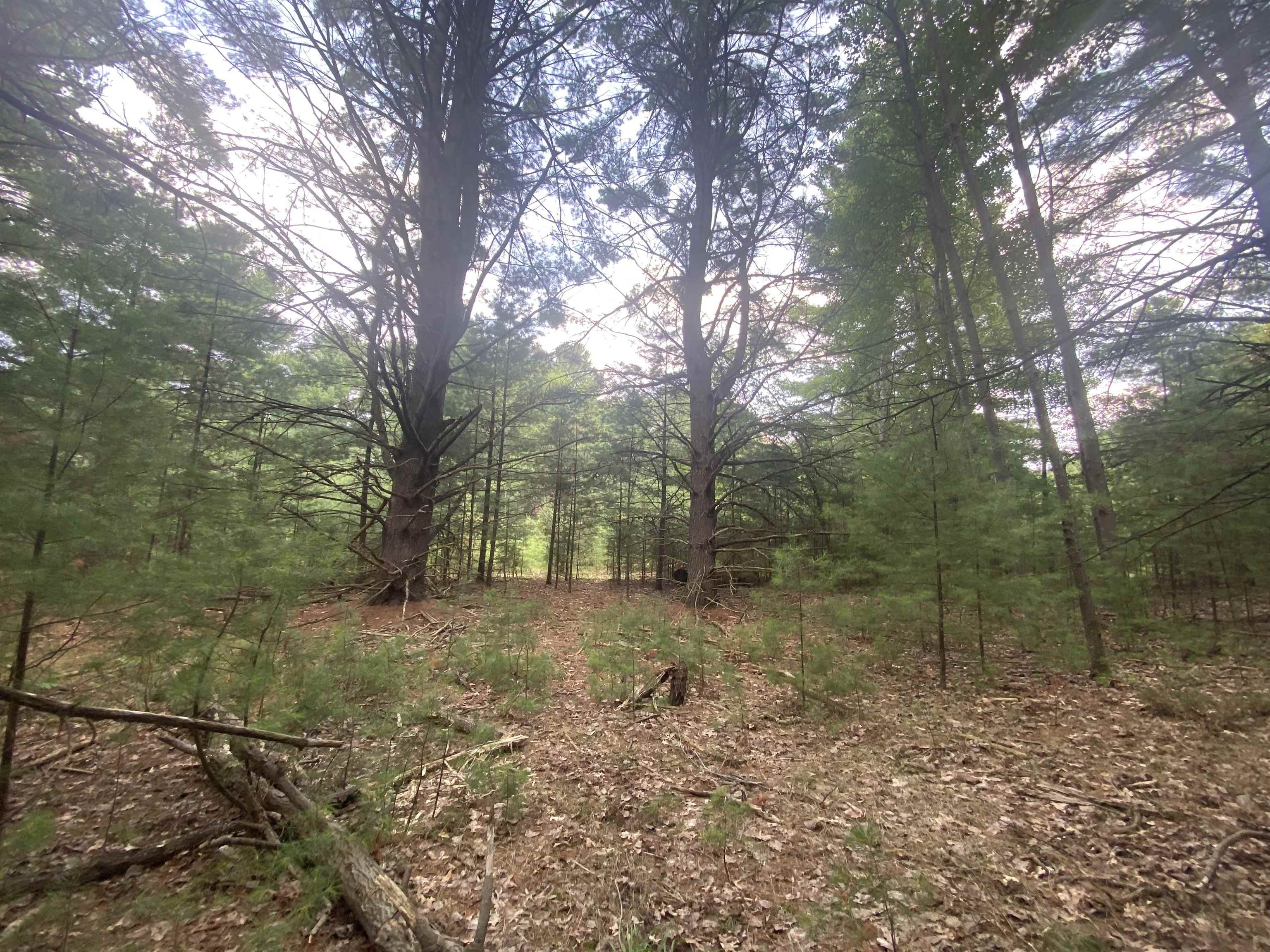 3091 Scenic Hills Drive Acme Township MI 49690