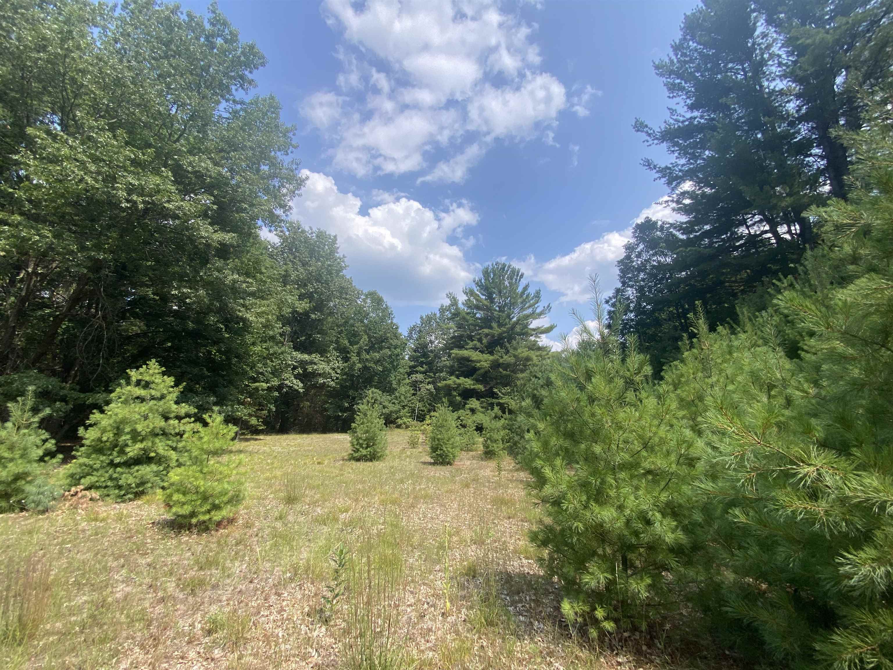 3091 Scenic Hills Drive Acme Township MI 49690