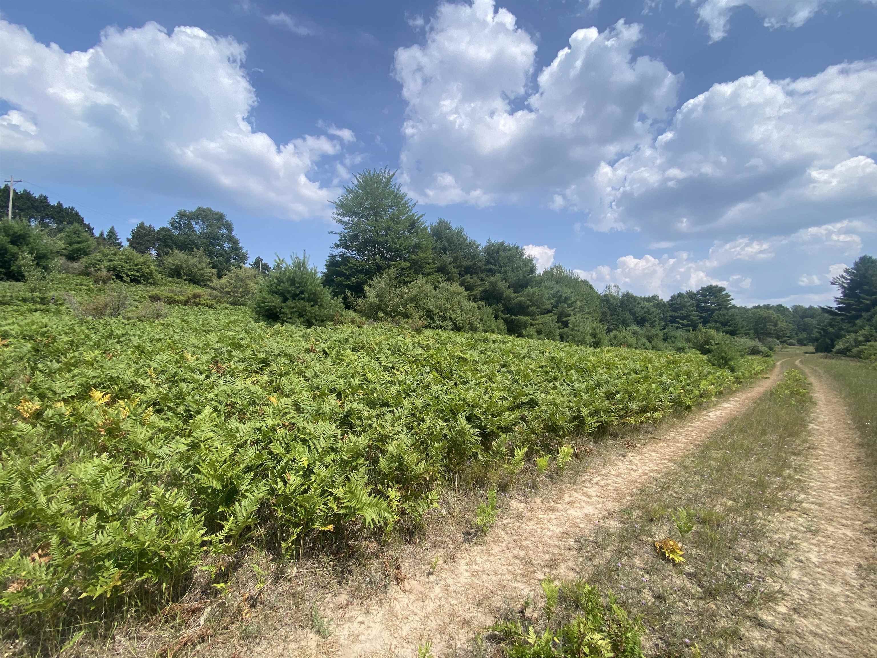 3091 Scenic Hills Drive Acme Township MI 49690