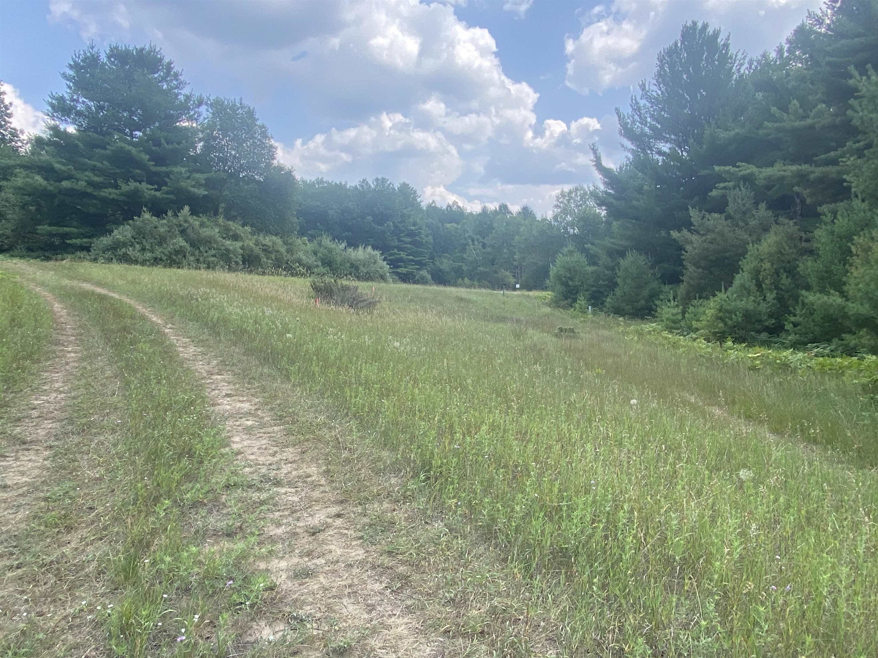 3091 Scenic Hills Drive Acme Township MI 49690