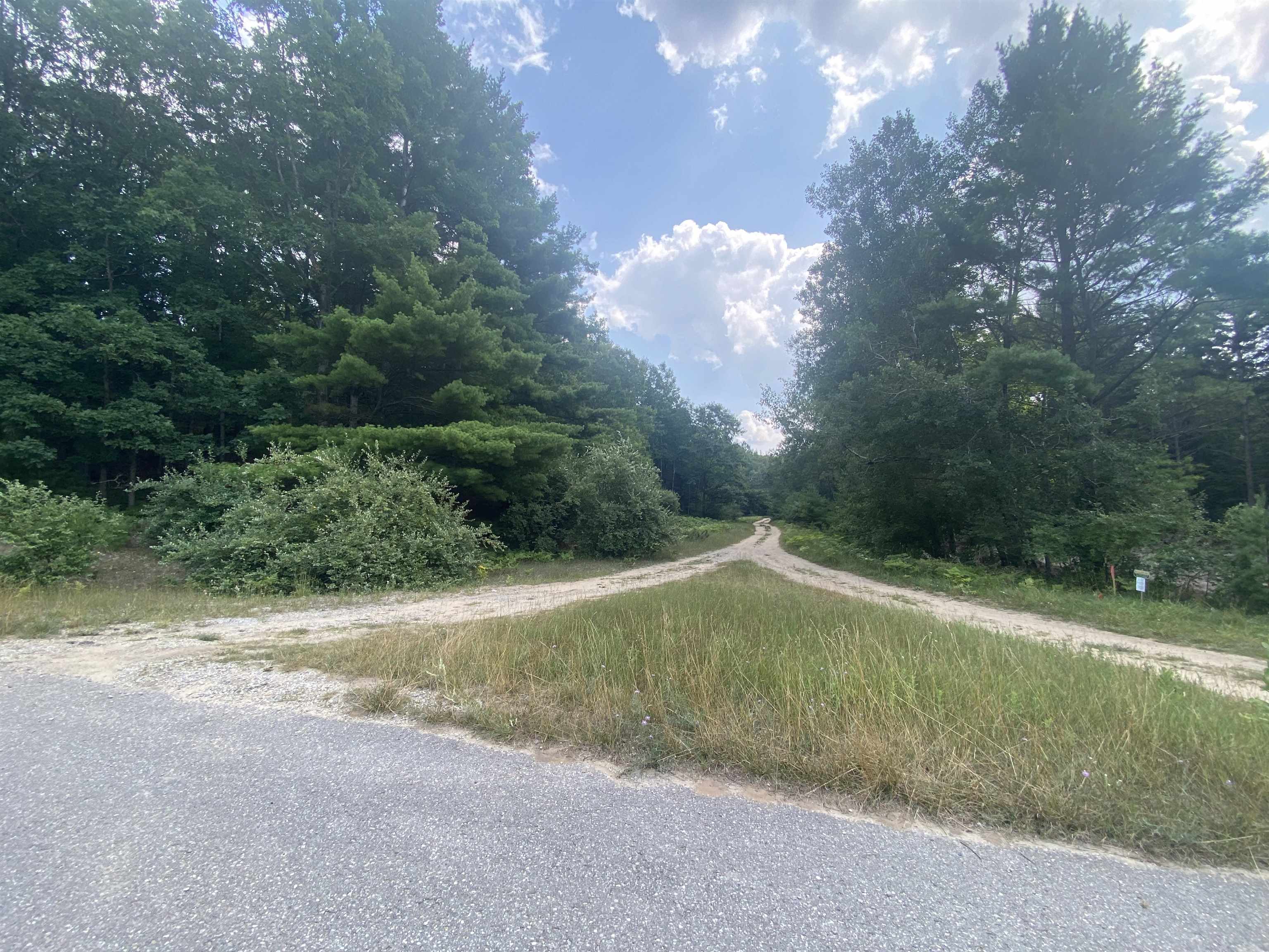 3091 Scenic Hills Drive Acme Township MI 49690
