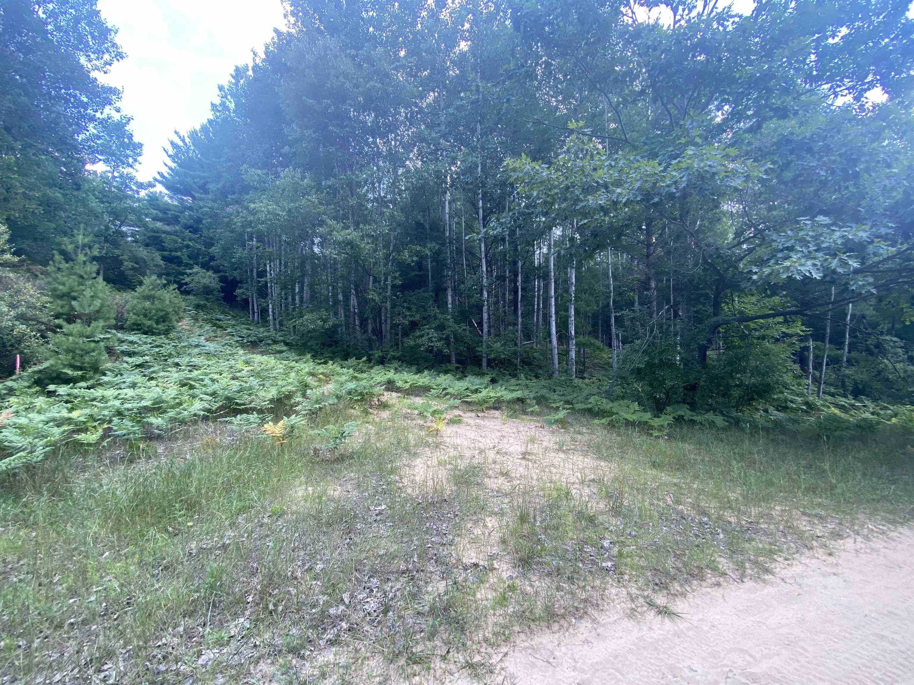 3091 Scenic Hills Drive Acme Township MI 49690