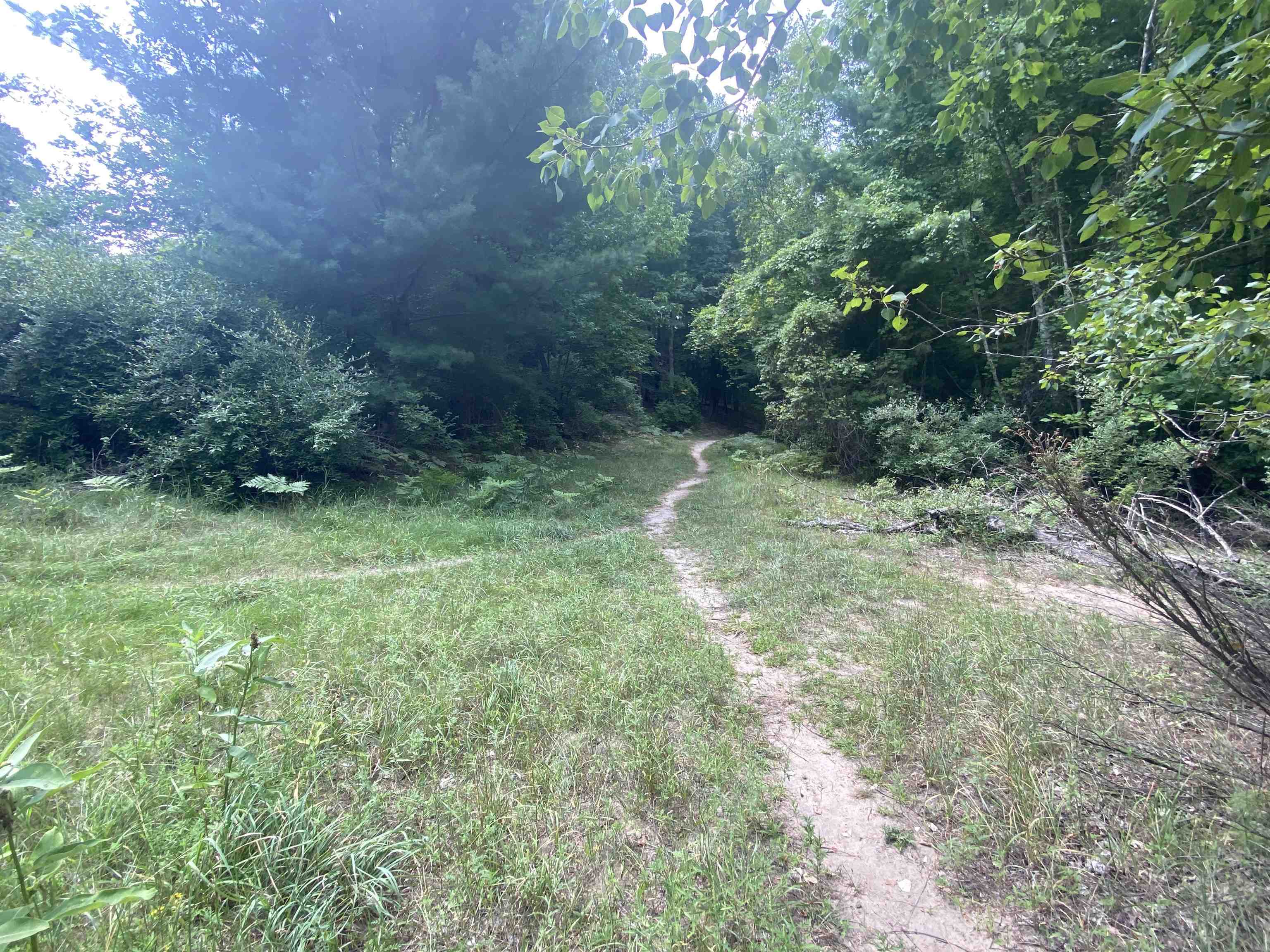 3091 Scenic Hills Drive Acme Township MI 49690