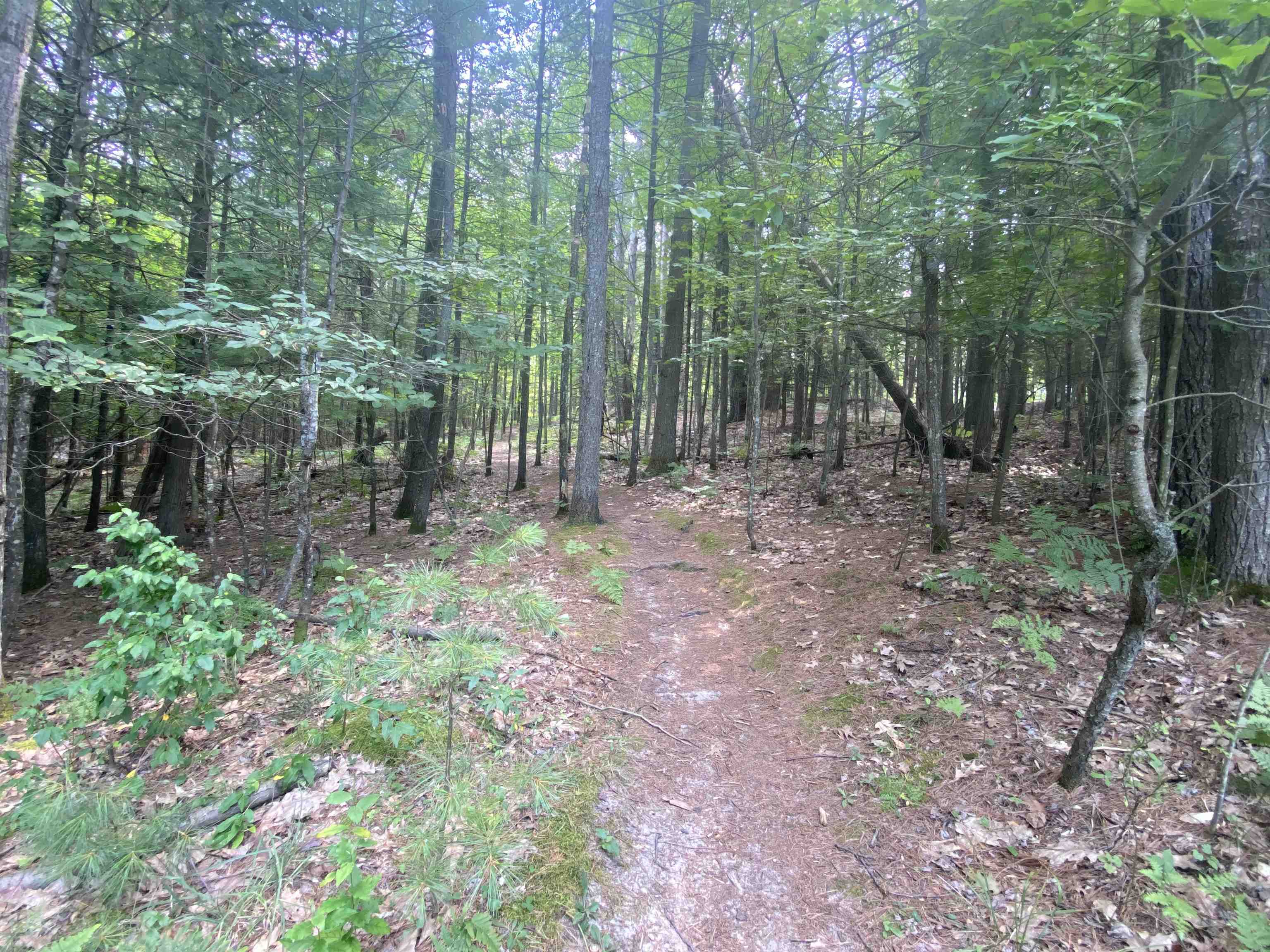 3091 Scenic Hills Drive Acme Township MI 49690
