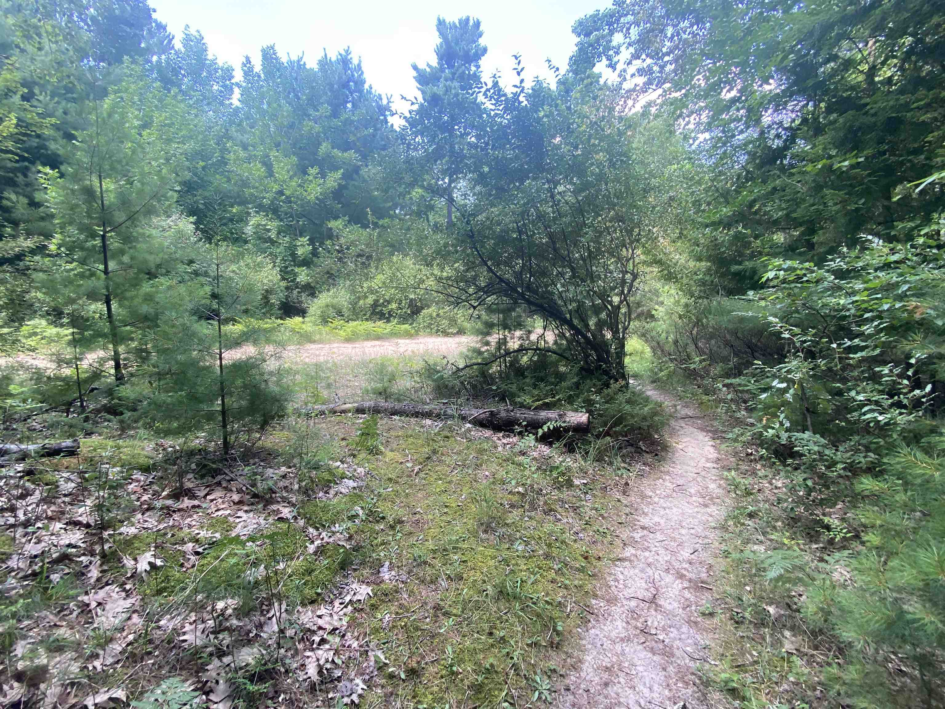3091 Scenic Hills Drive Acme Township MI 49690