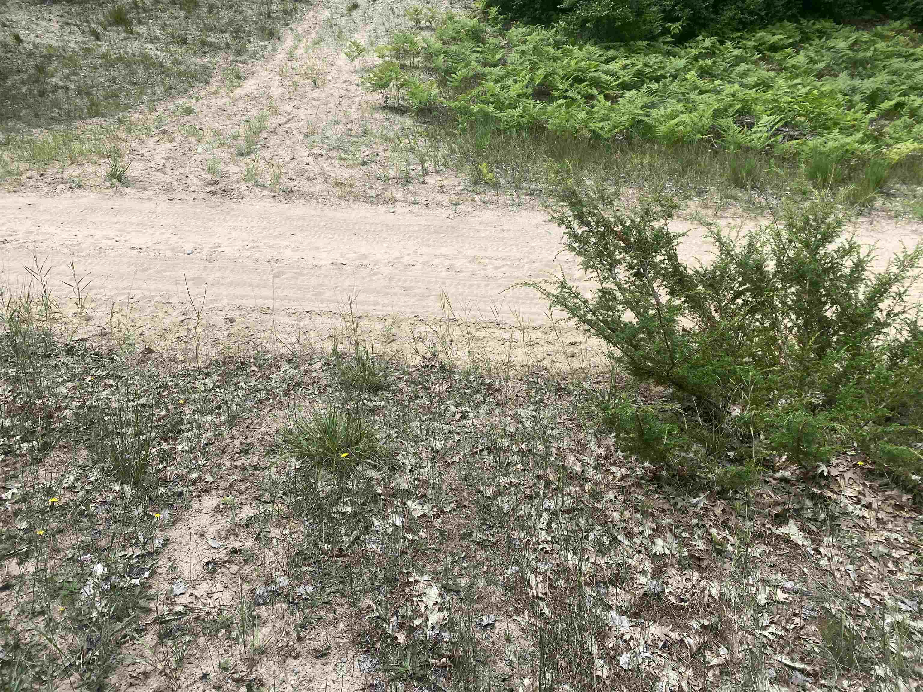 3091 Scenic Hills Drive Acme Township MI 49690