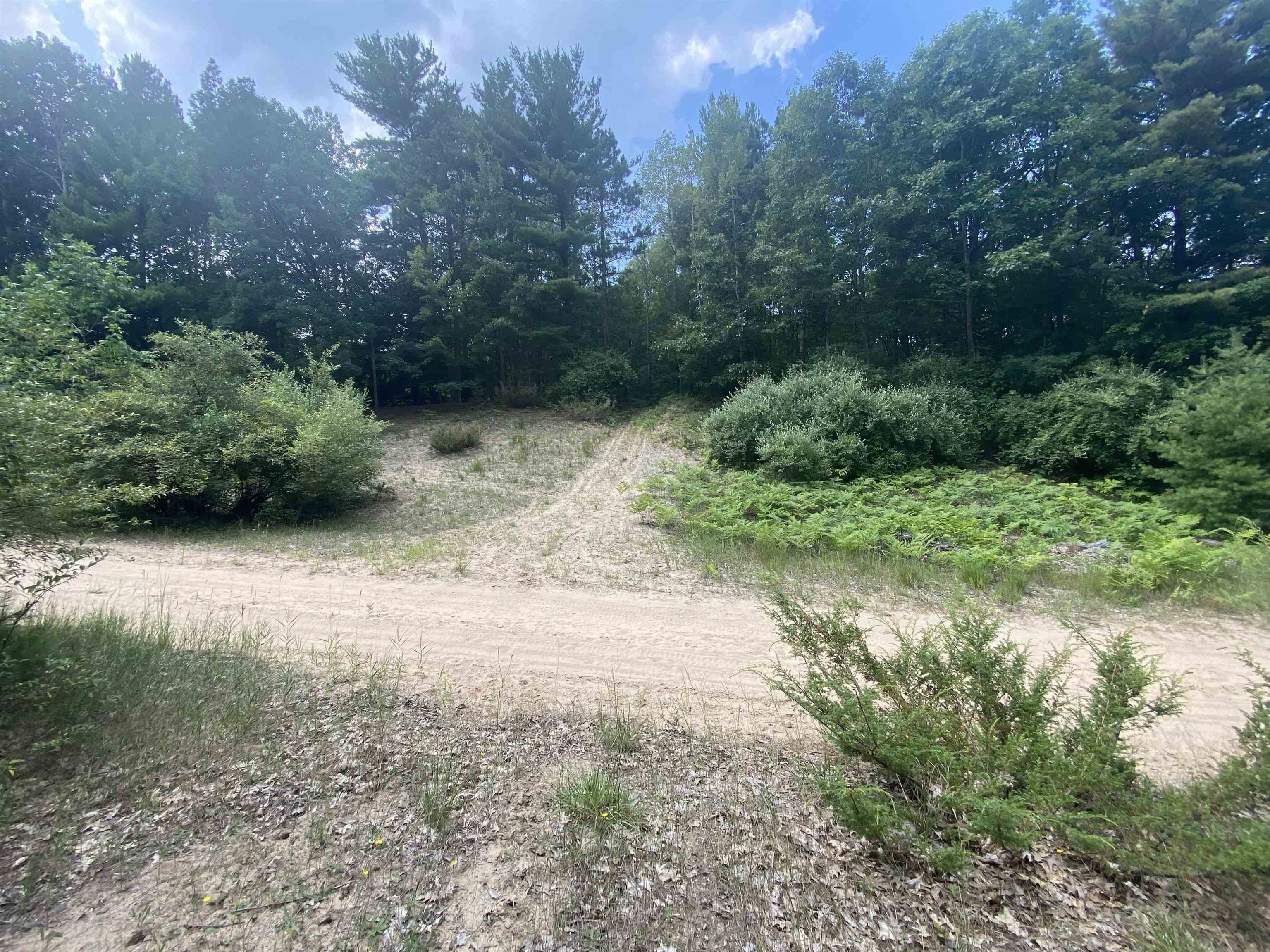 3091 Scenic Hills Drive Acme Township MI 49690