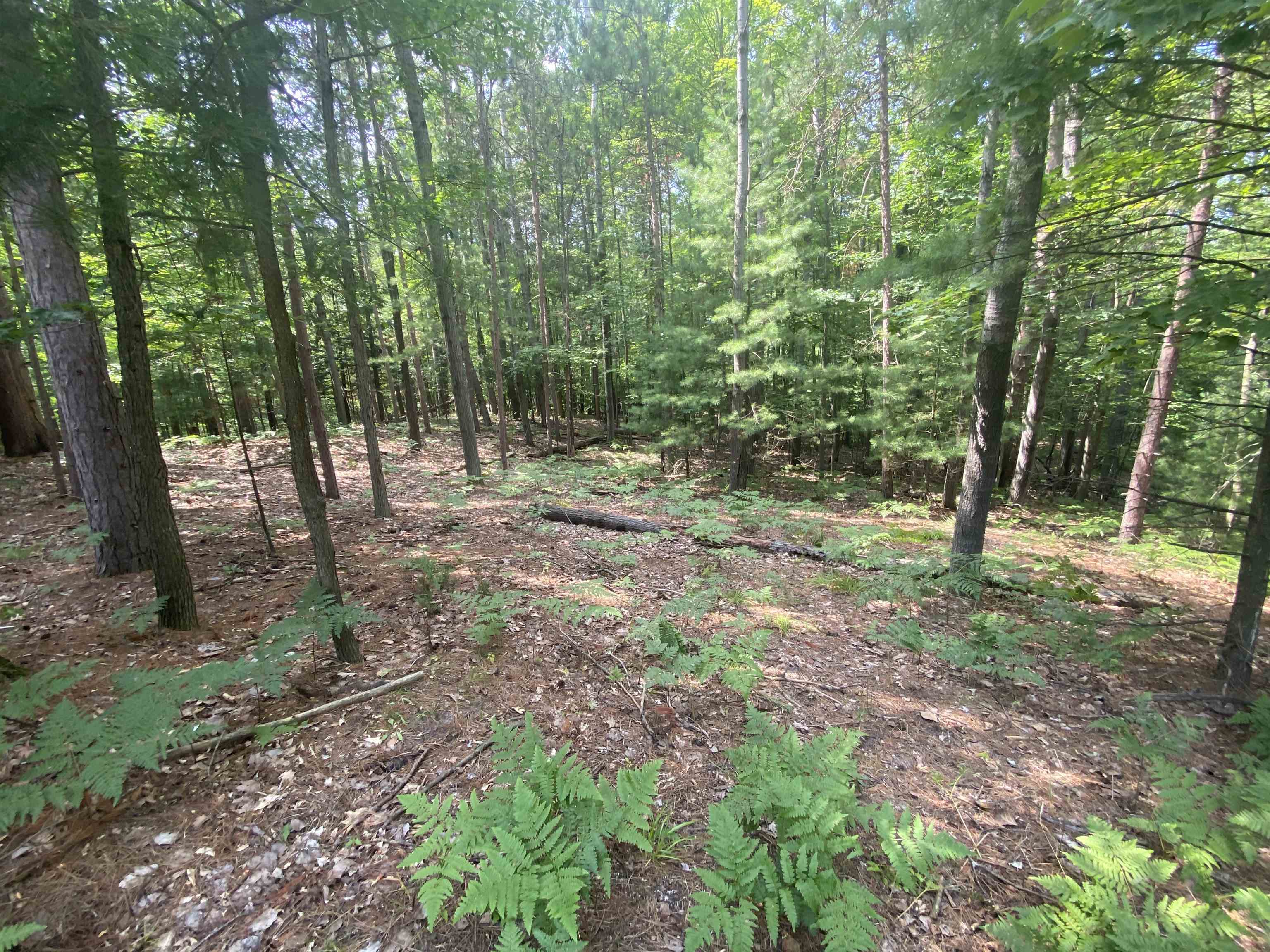 3091 Scenic Hills Drive Acme Township MI 49690