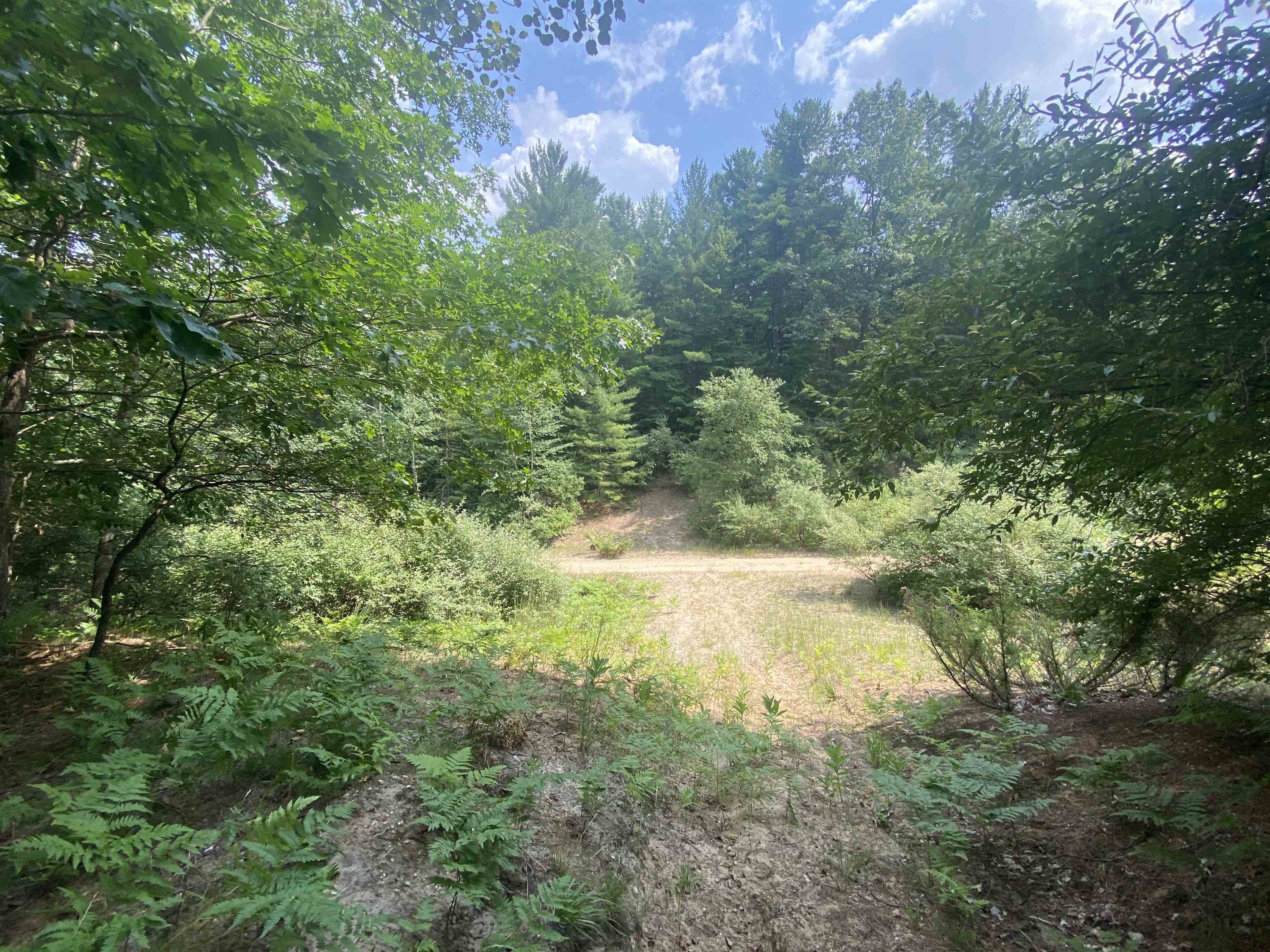 3091 Scenic Hills Drive Acme Township MI 49690