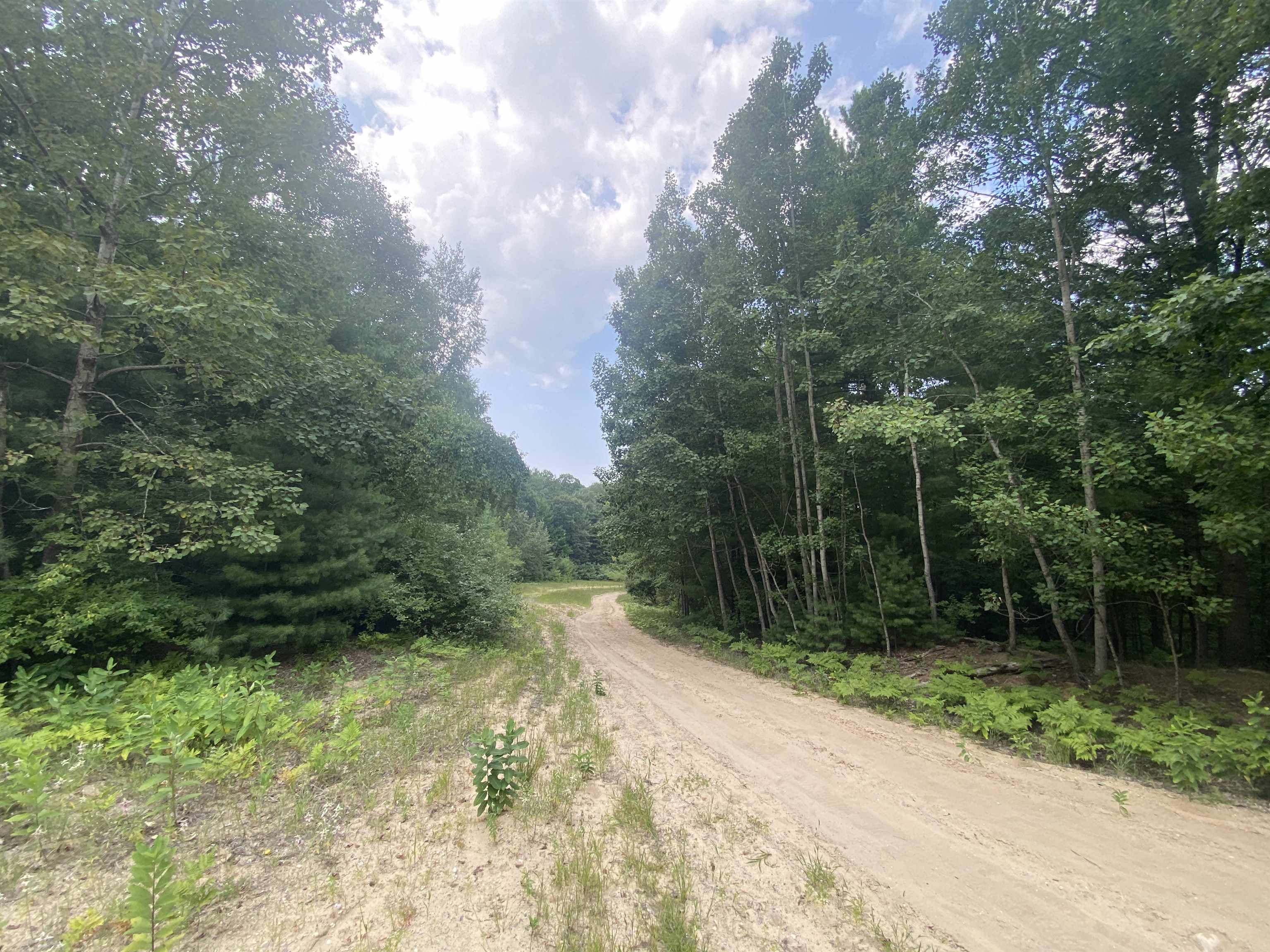 3091 Scenic Hills Drive Acme Township MI 49690