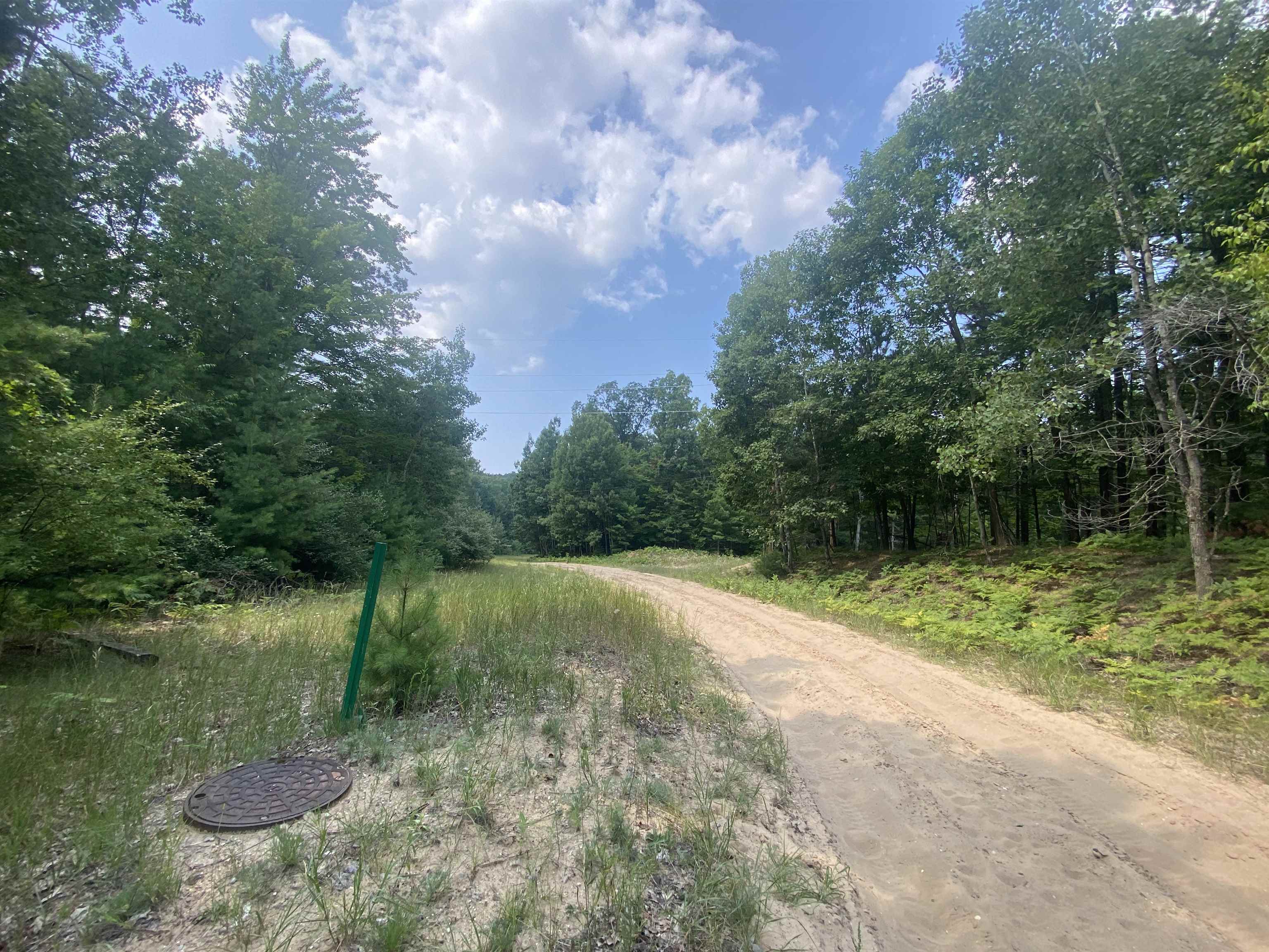 3091 Scenic Hills Drive Acme Township MI 49690