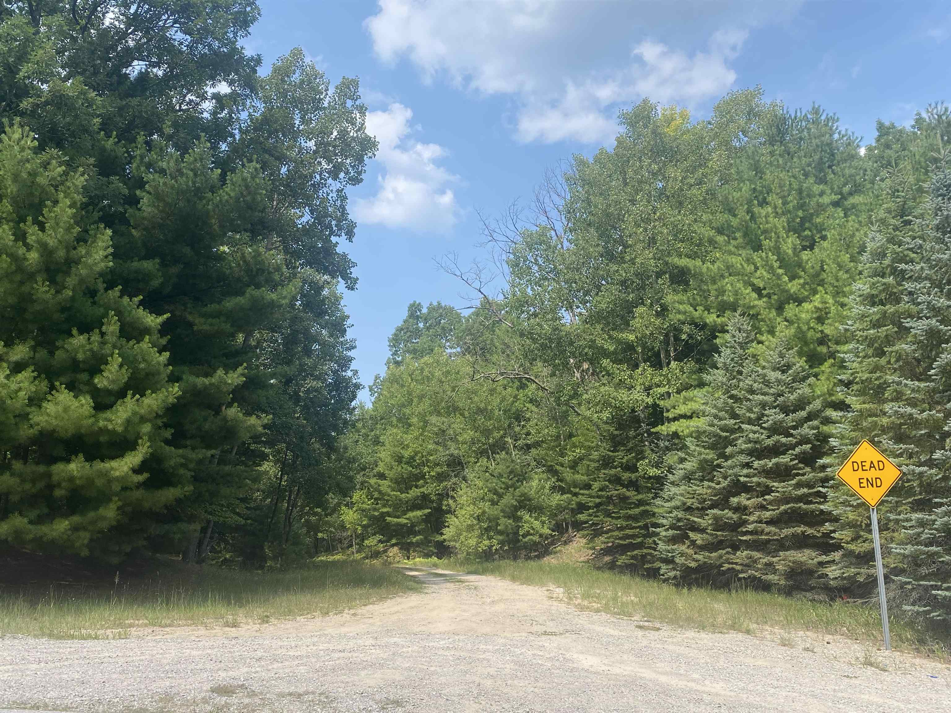 3091 Scenic Hills Drive Acme Township MI 49690
