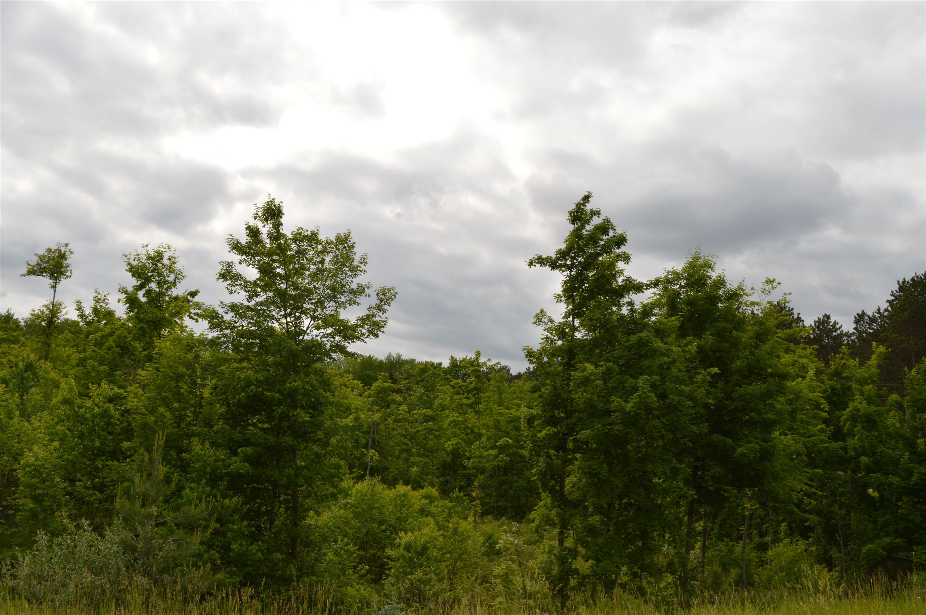 N Summit City Road Paradise Township MI 49649