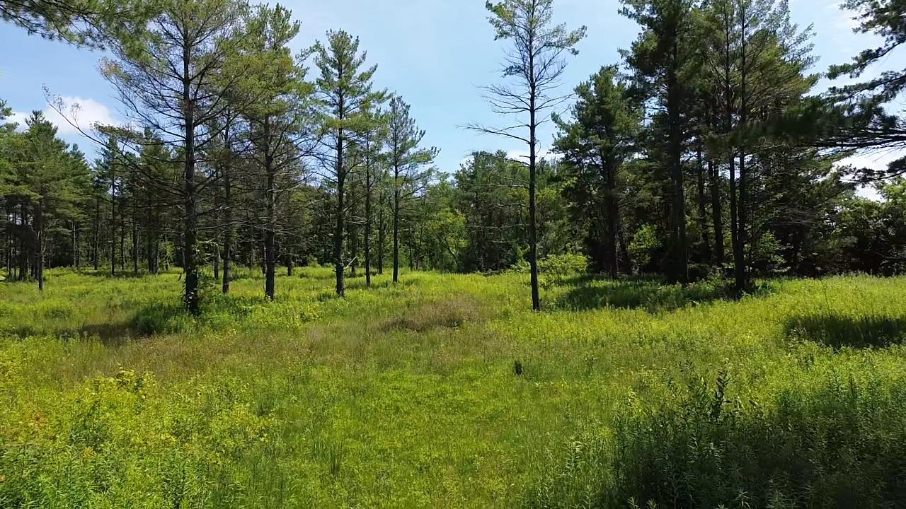 0 S Us-31 Elk Rapids Township MI 49629