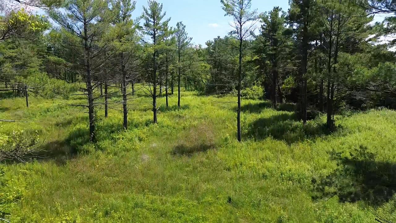 0 S Us-31 Elk Rapids Township MI 49629