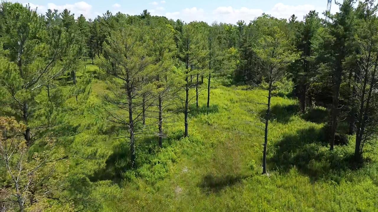 0 S Us-31 Elk Rapids Township MI 49629