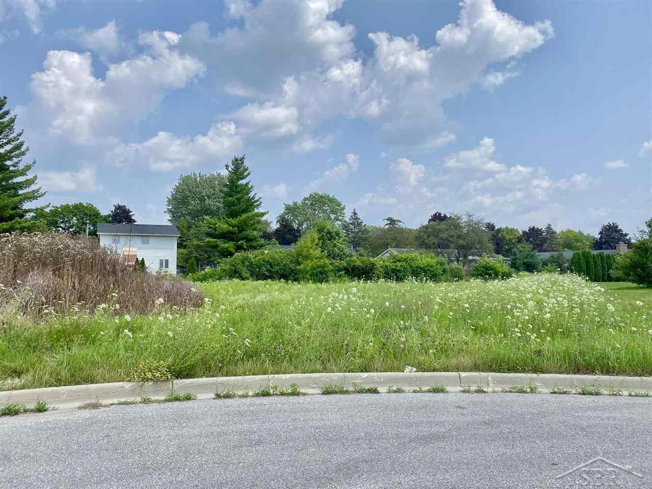 Fieldstone Lane Saginaw Charter Township MI 48603