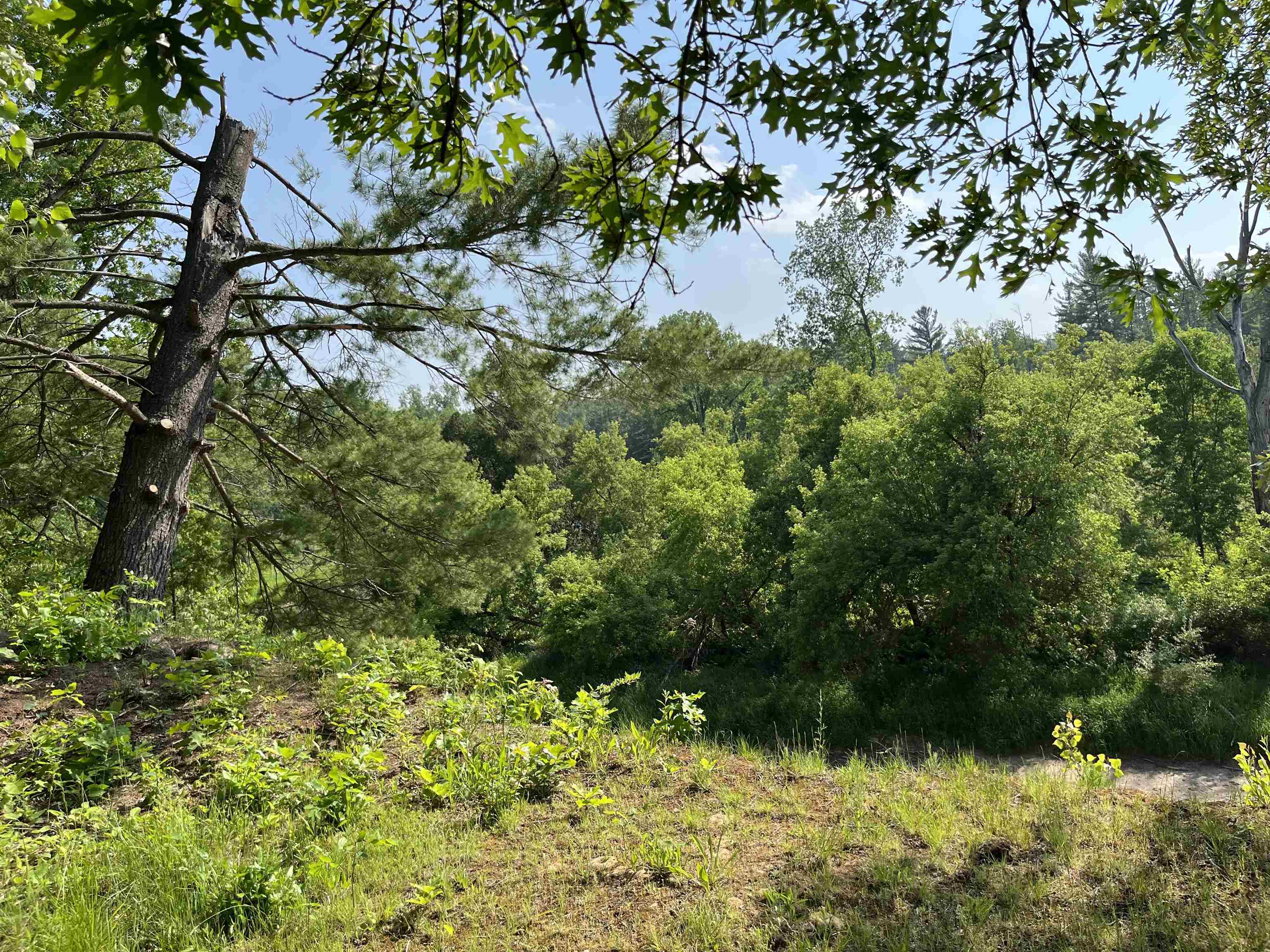 Nka Pinnacle Drive Deep River Township MI 48749
