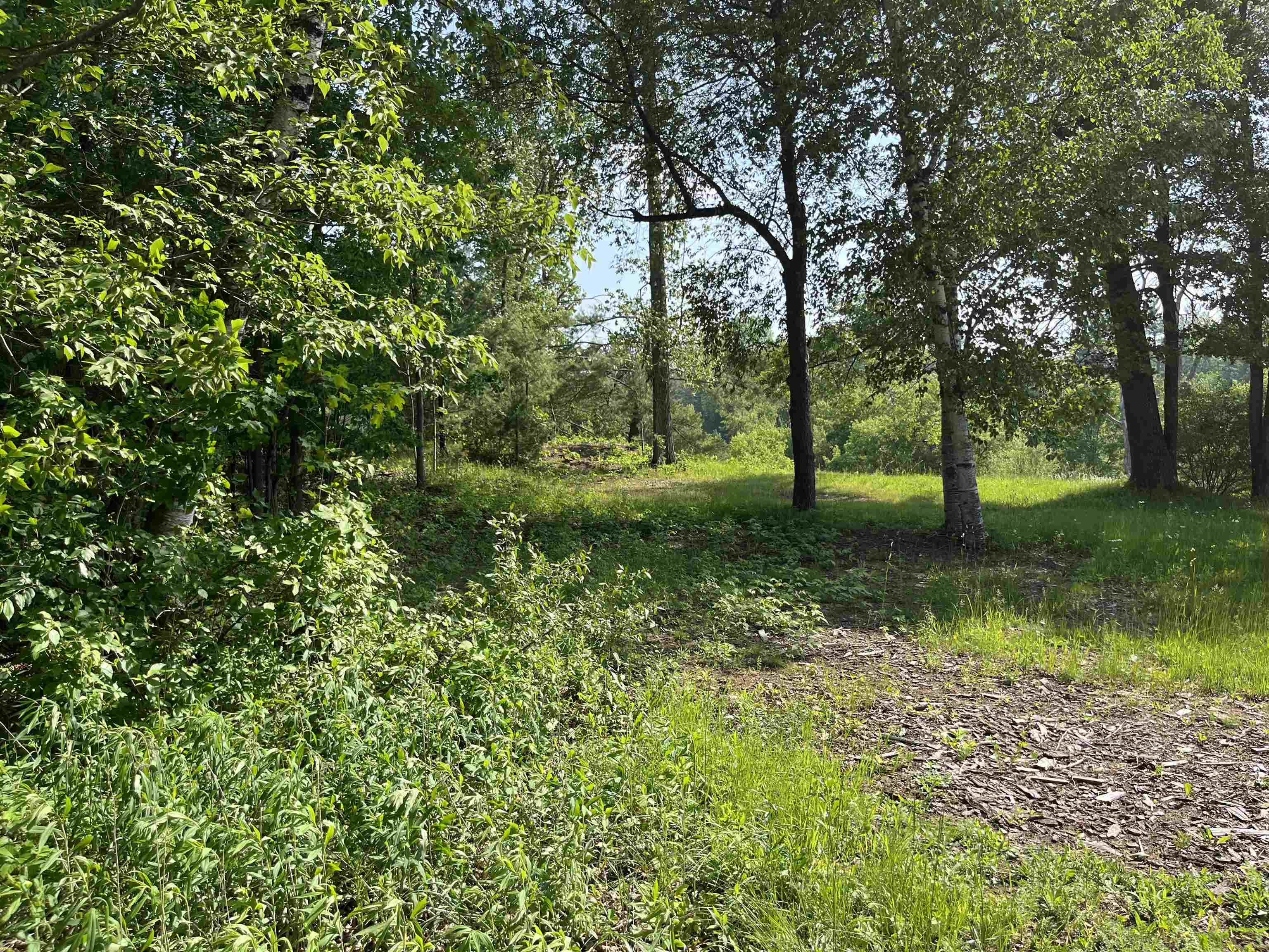 Nka Pinnacle Drive Deep River Township MI 48749