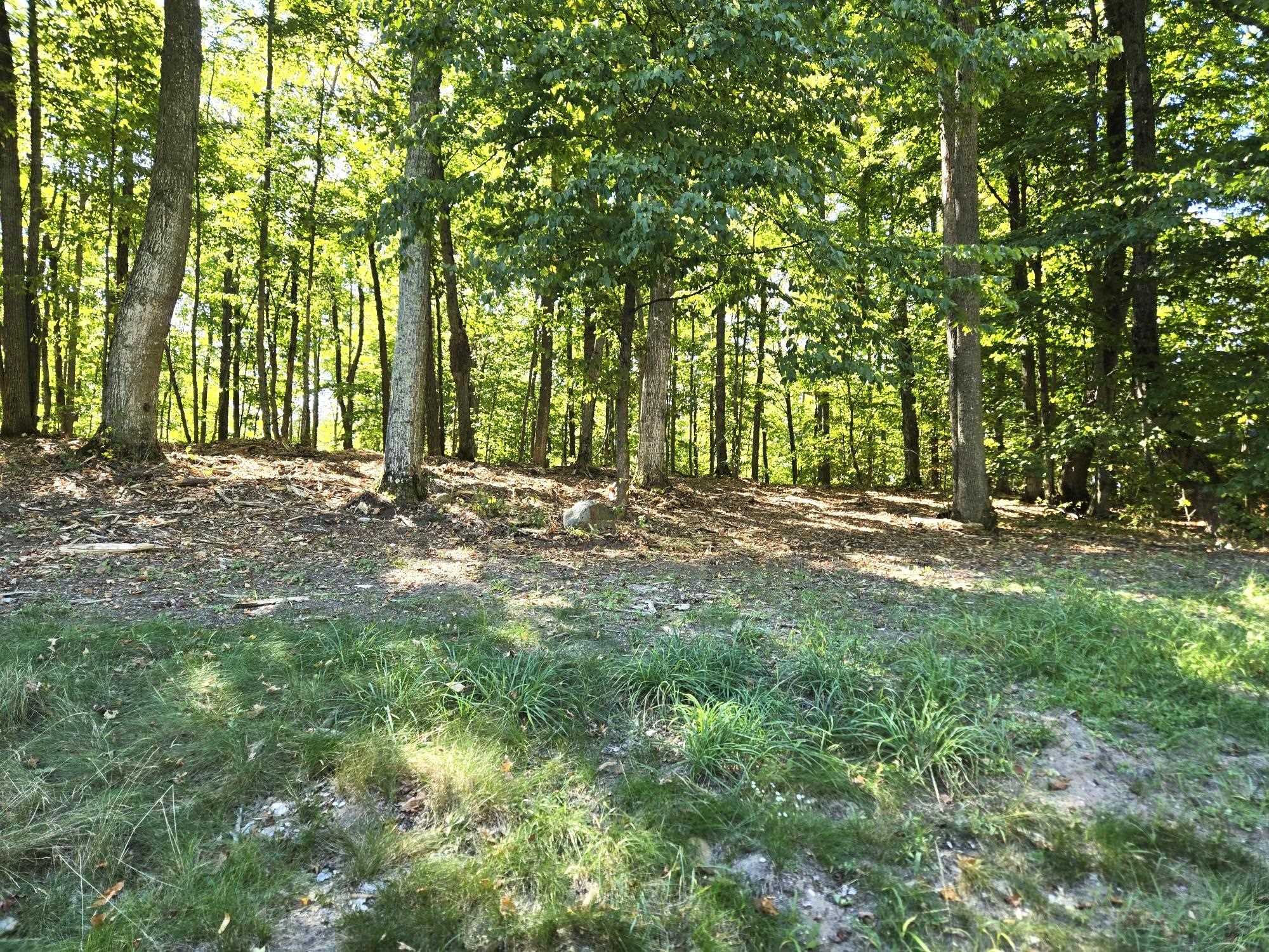 004 Heather Ridge Trail Homestead Township MI 49617