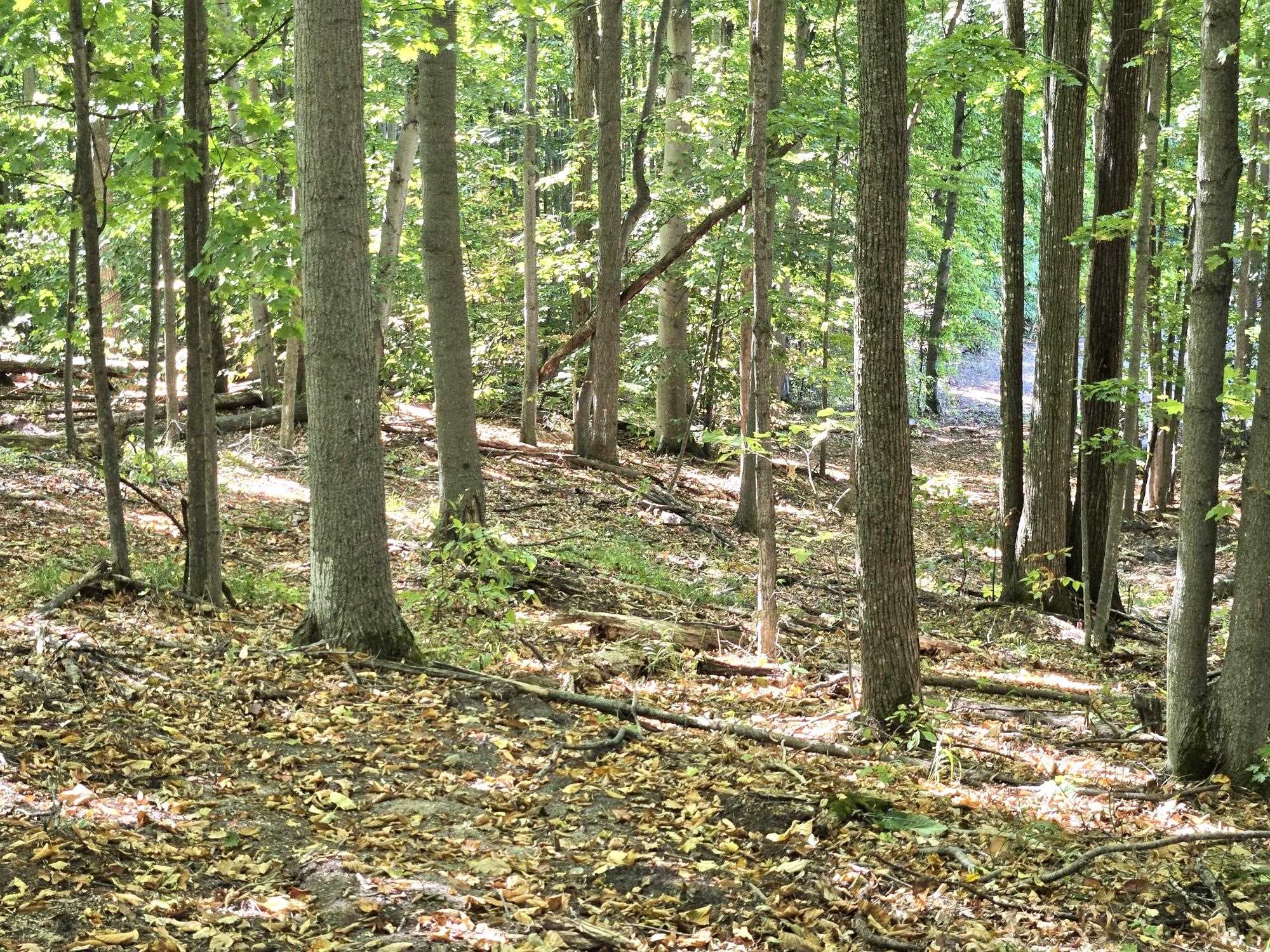 004 Heather Ridge Trail Homestead Township MI 49617