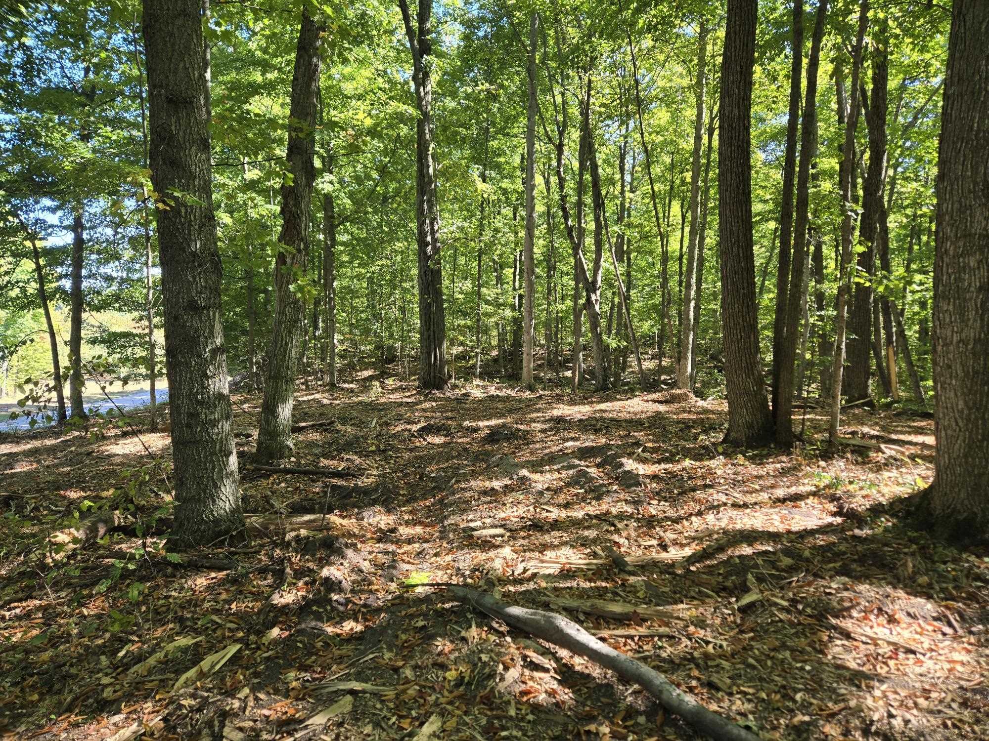 004 Heather Ridge Trail Homestead Township MI 49617