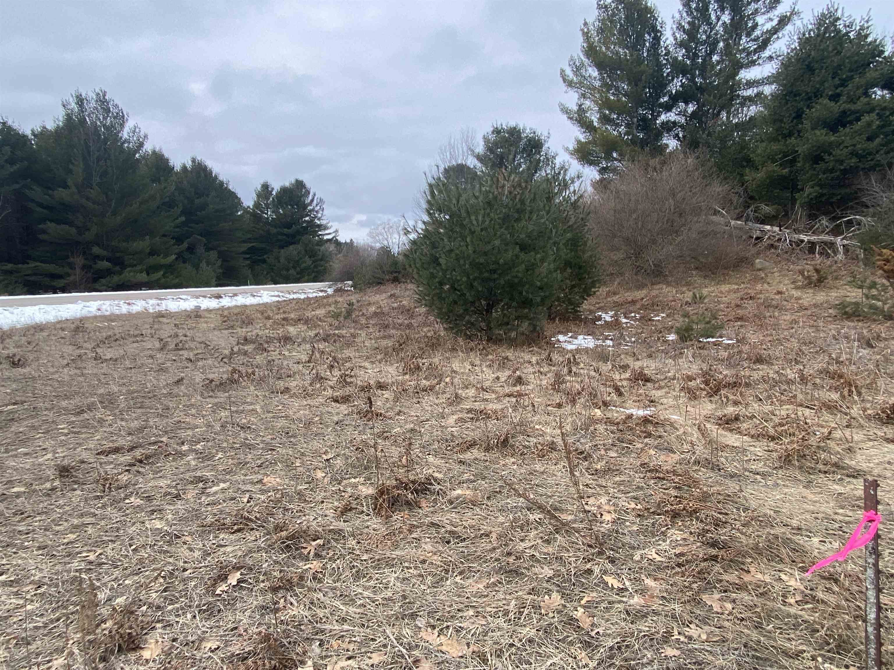 Lot 35 Scenic Hills Drive Acme Township MI 49690