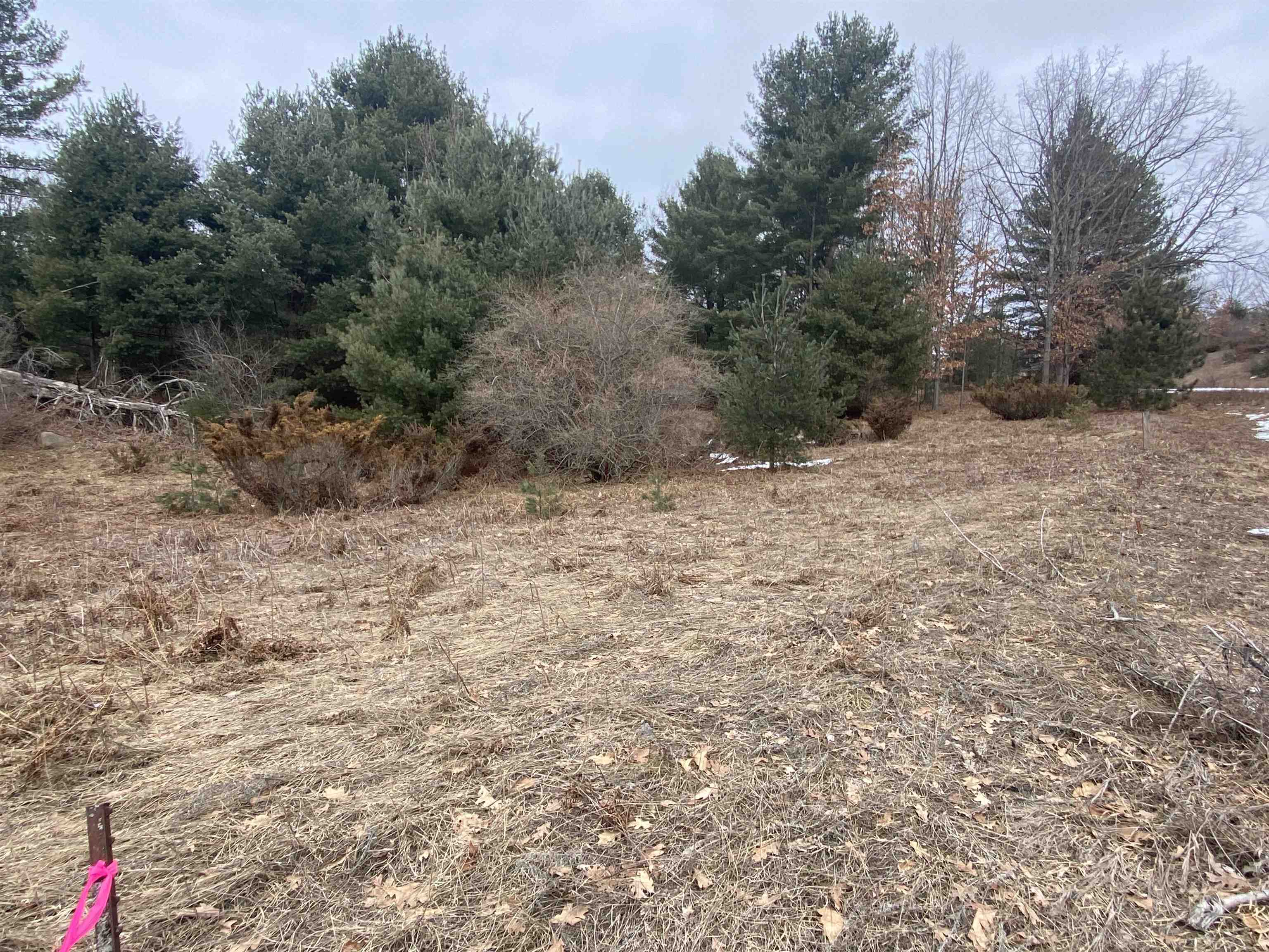 Lot 35 Scenic Hills Drive Acme Township MI 49690