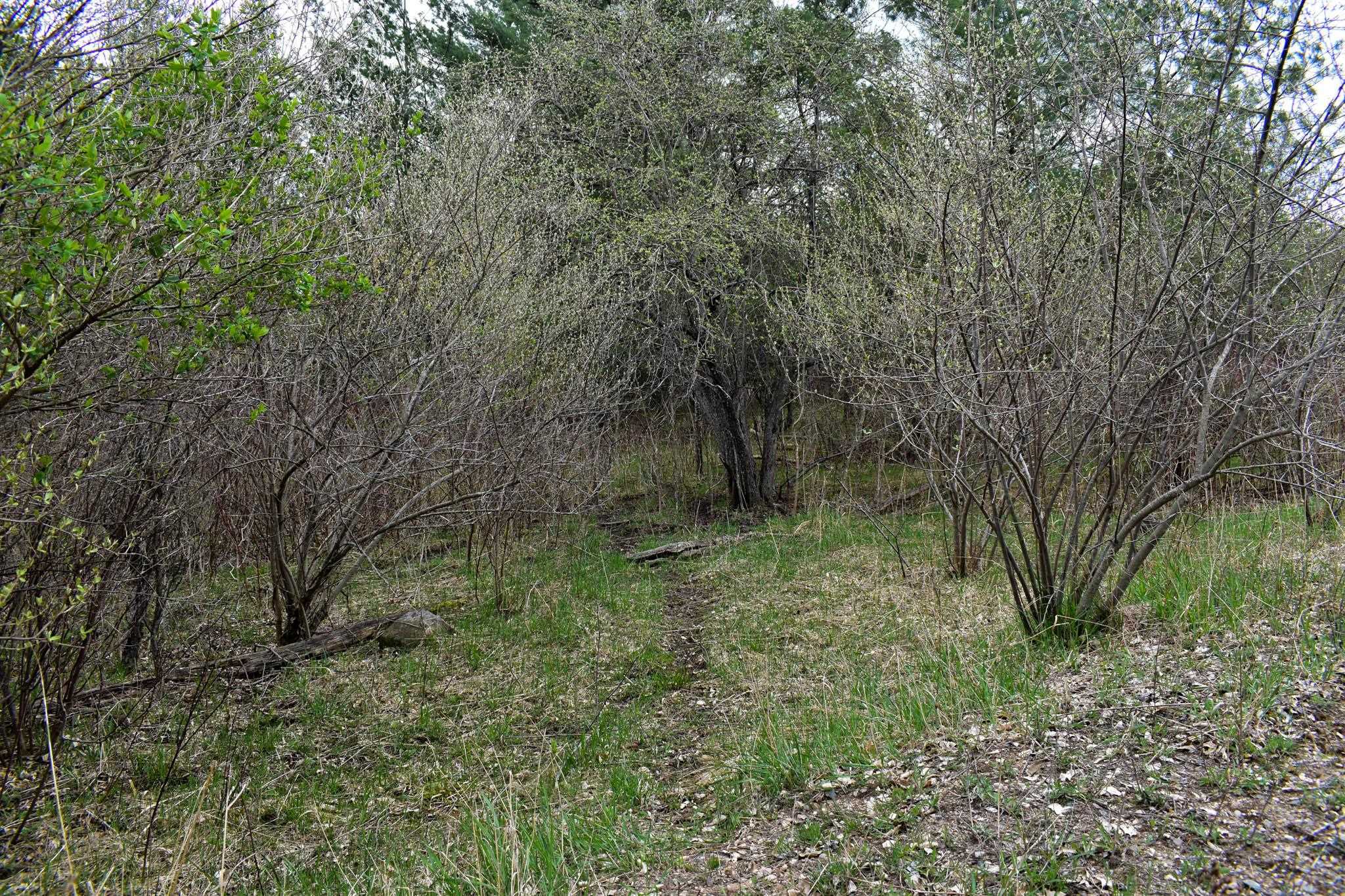 4611 Stover Road Kearney Township MI 49615