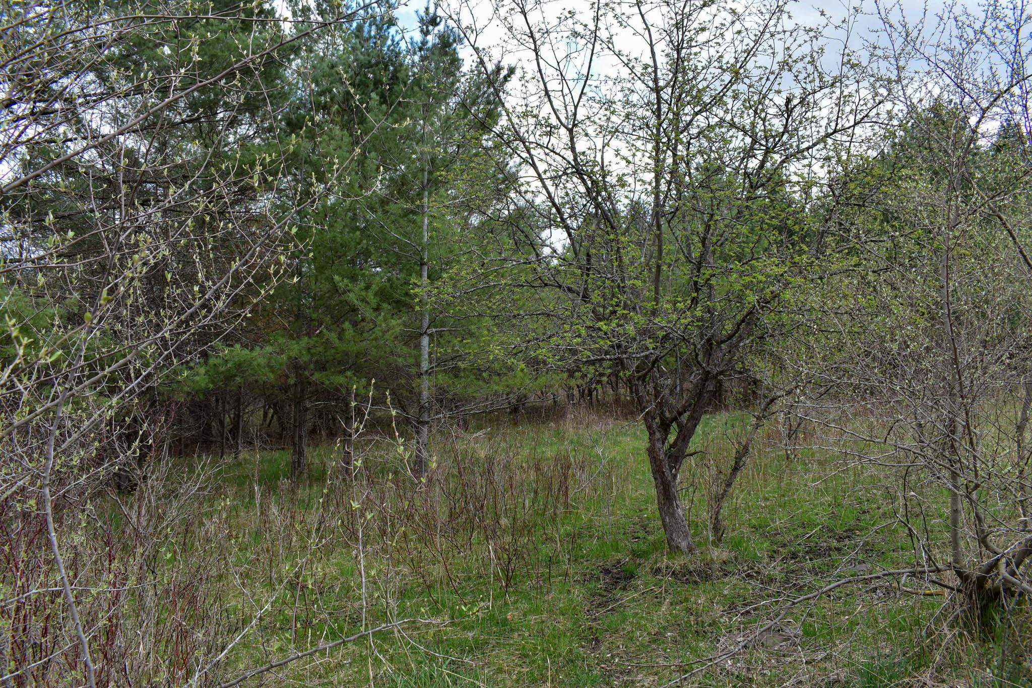4611 Stover Road Kearney Township MI 49615