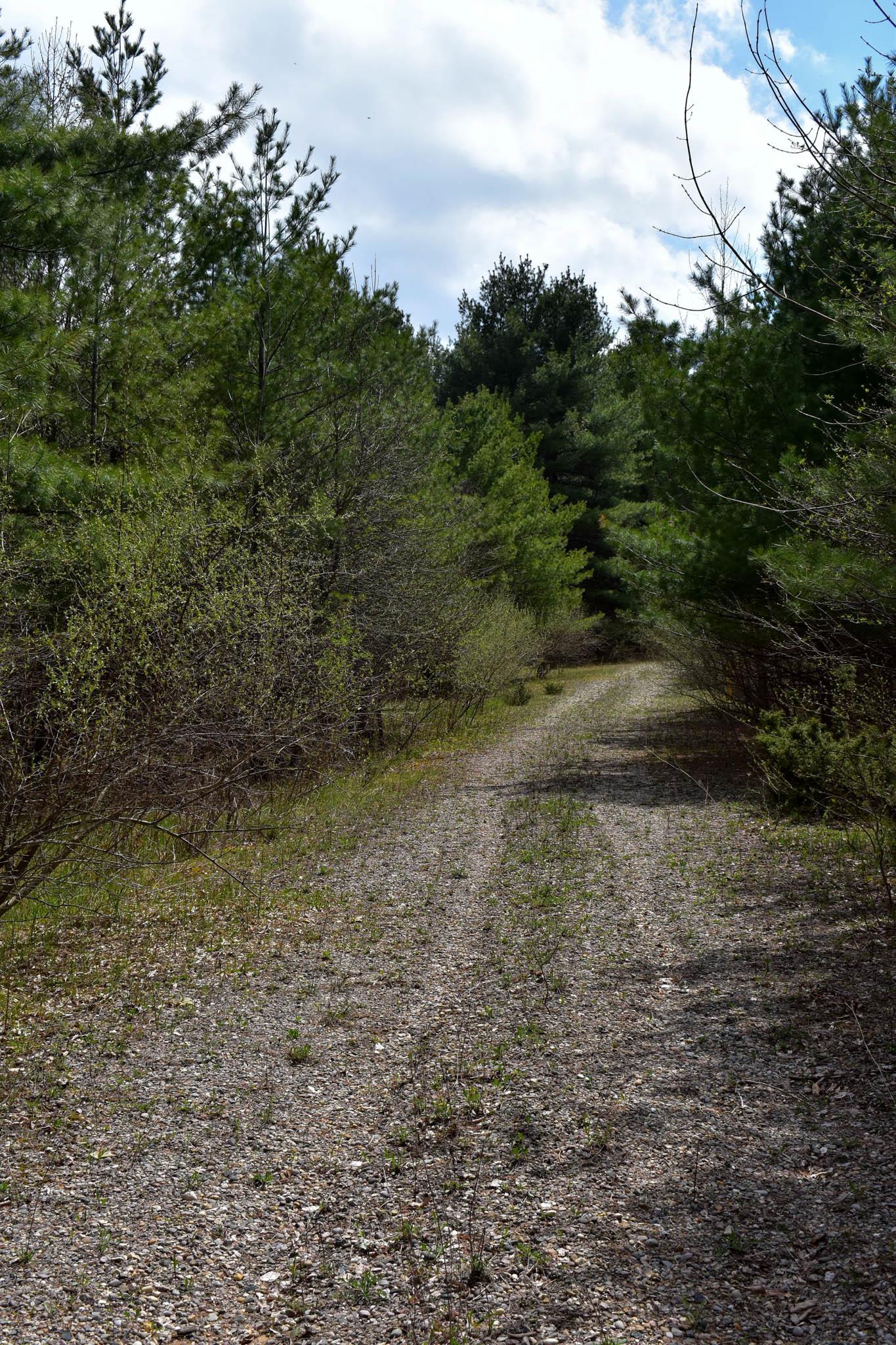 4611 Stover Road Kearney Township MI 49615