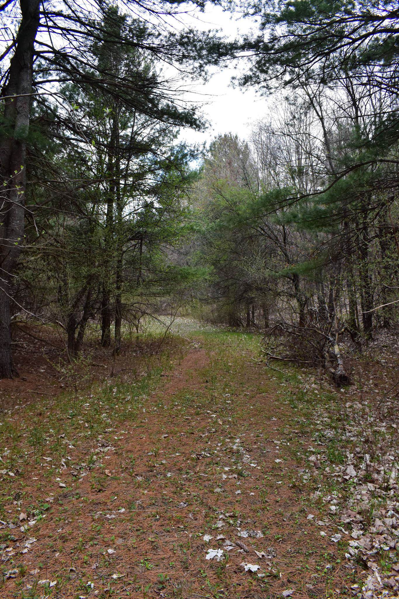4611 Stover Road Kearney Township MI 49615