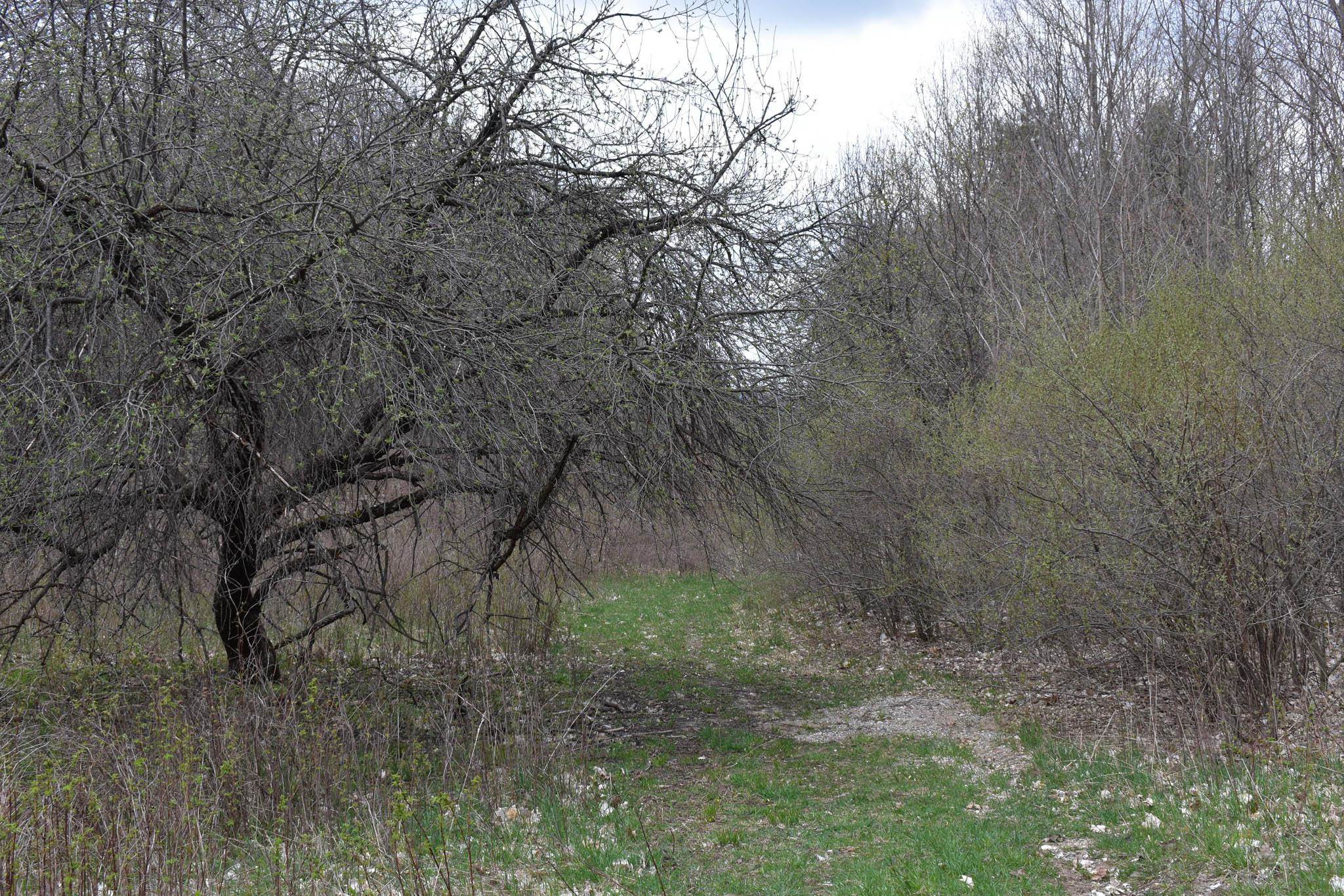 4611 Stover Road Kearney Township MI 49615