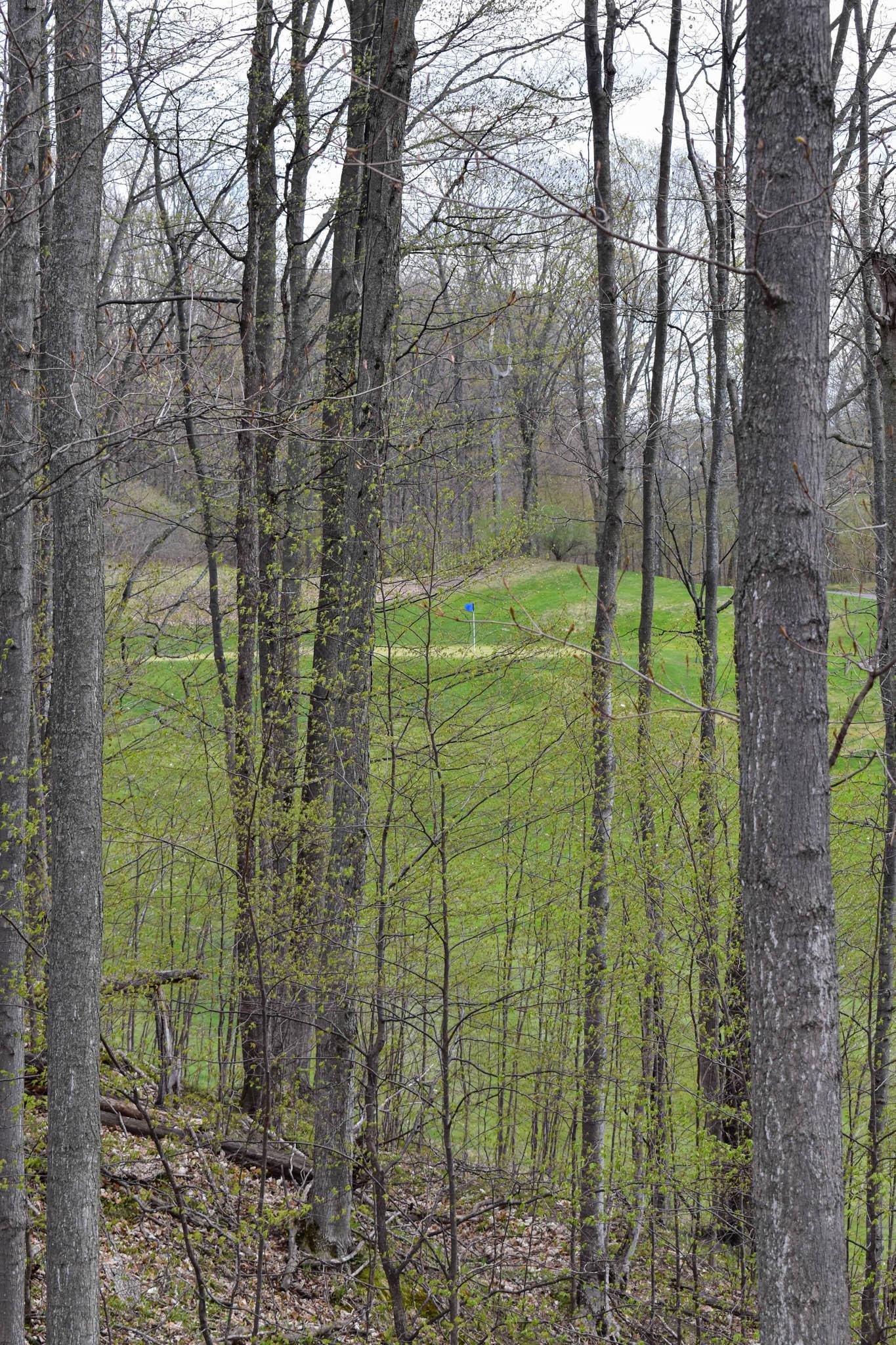 4611 Stover Road Kearney Township MI 49615