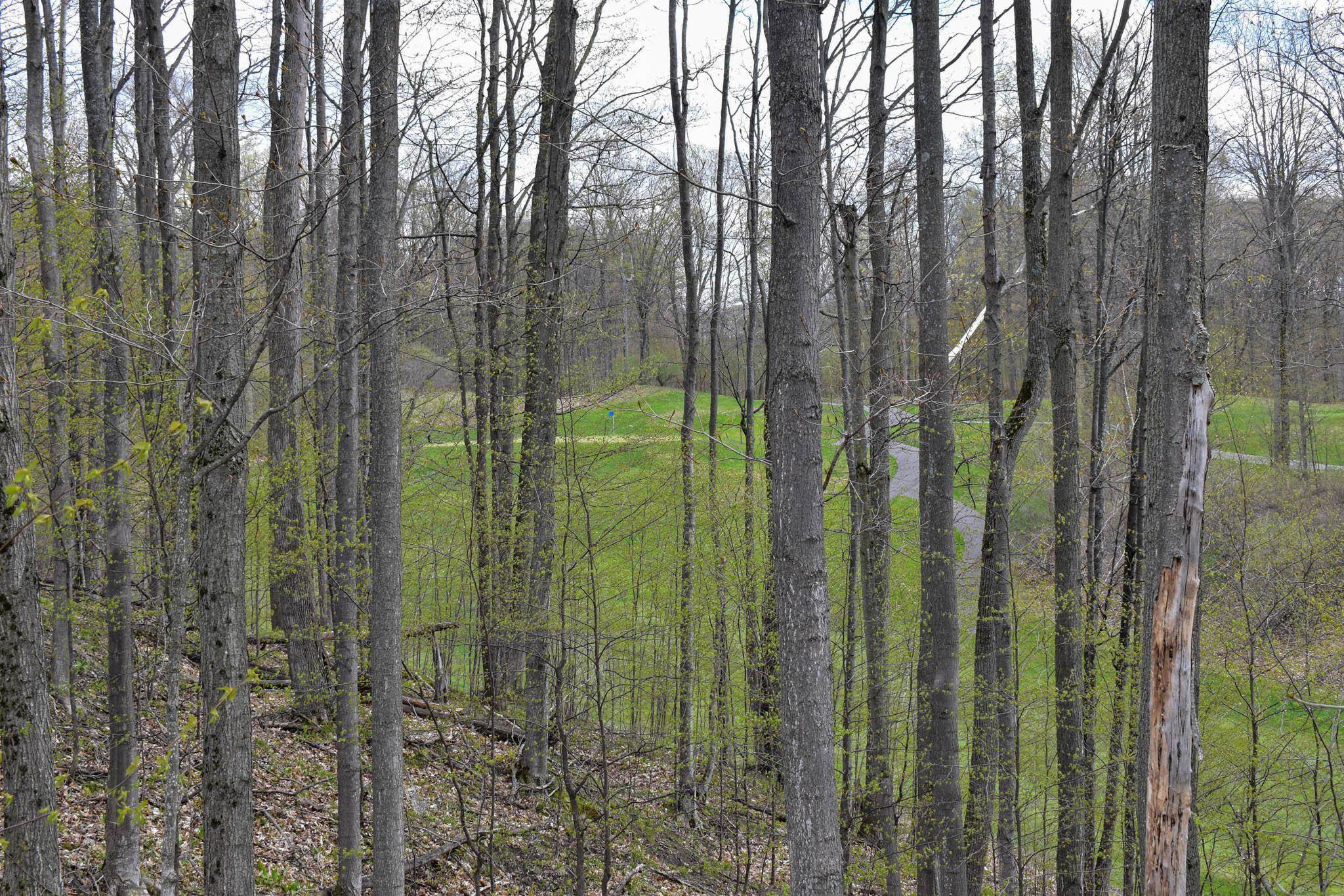 4611 Stover Road Kearney Township MI 49615