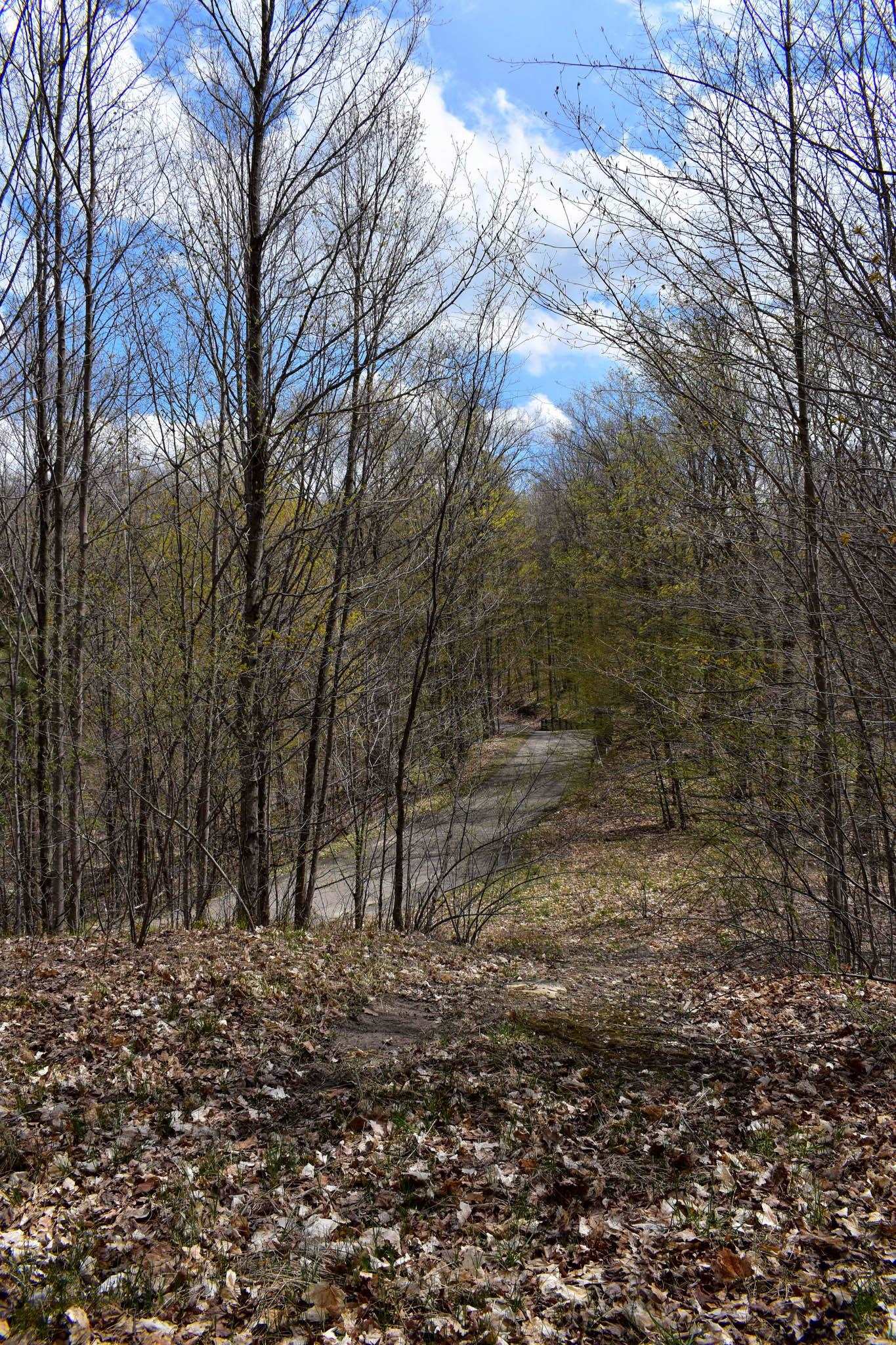 4611 Stover Road Kearney Township MI 49615