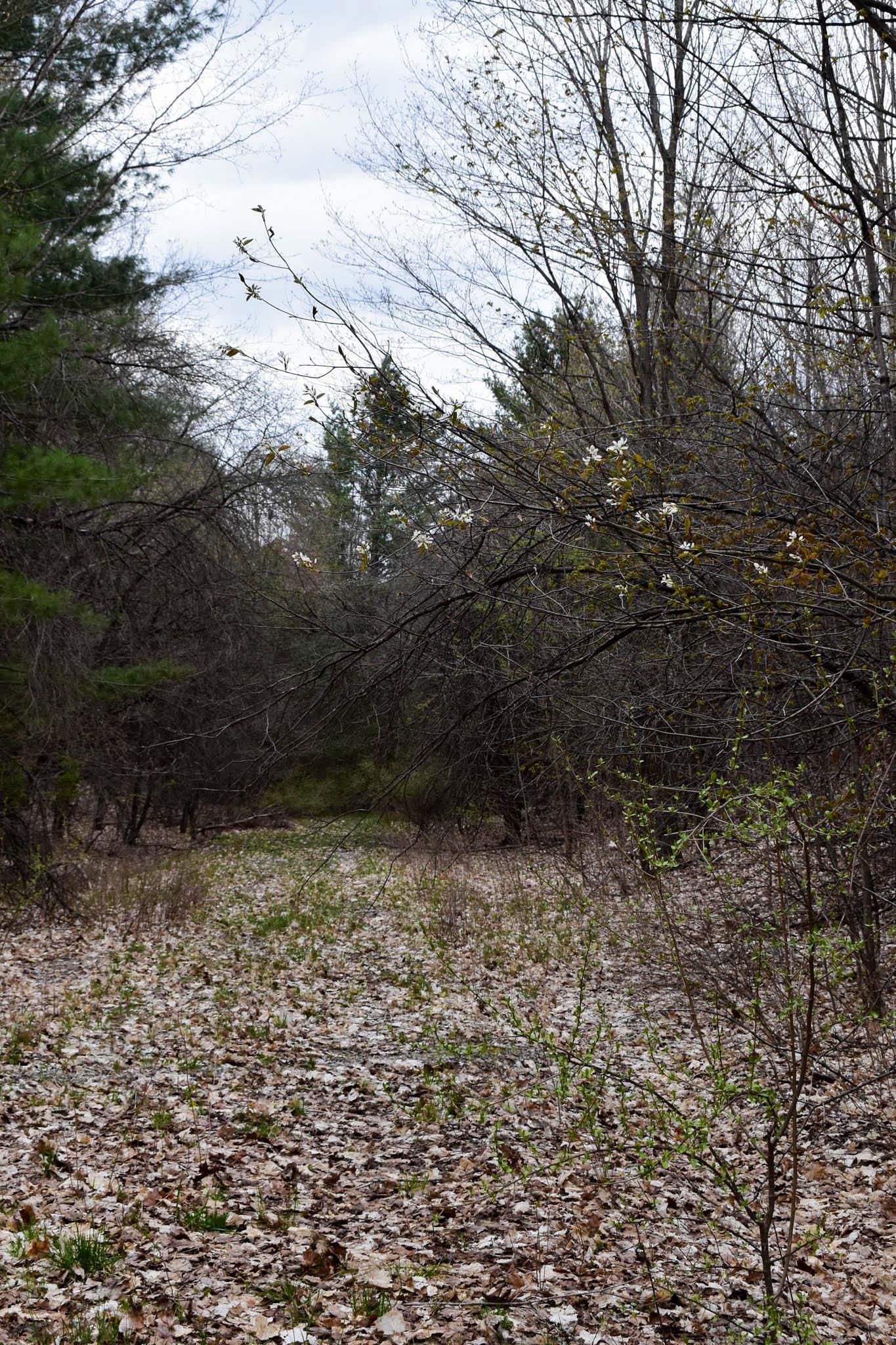 4611 Stover Road Kearney Township MI 49615