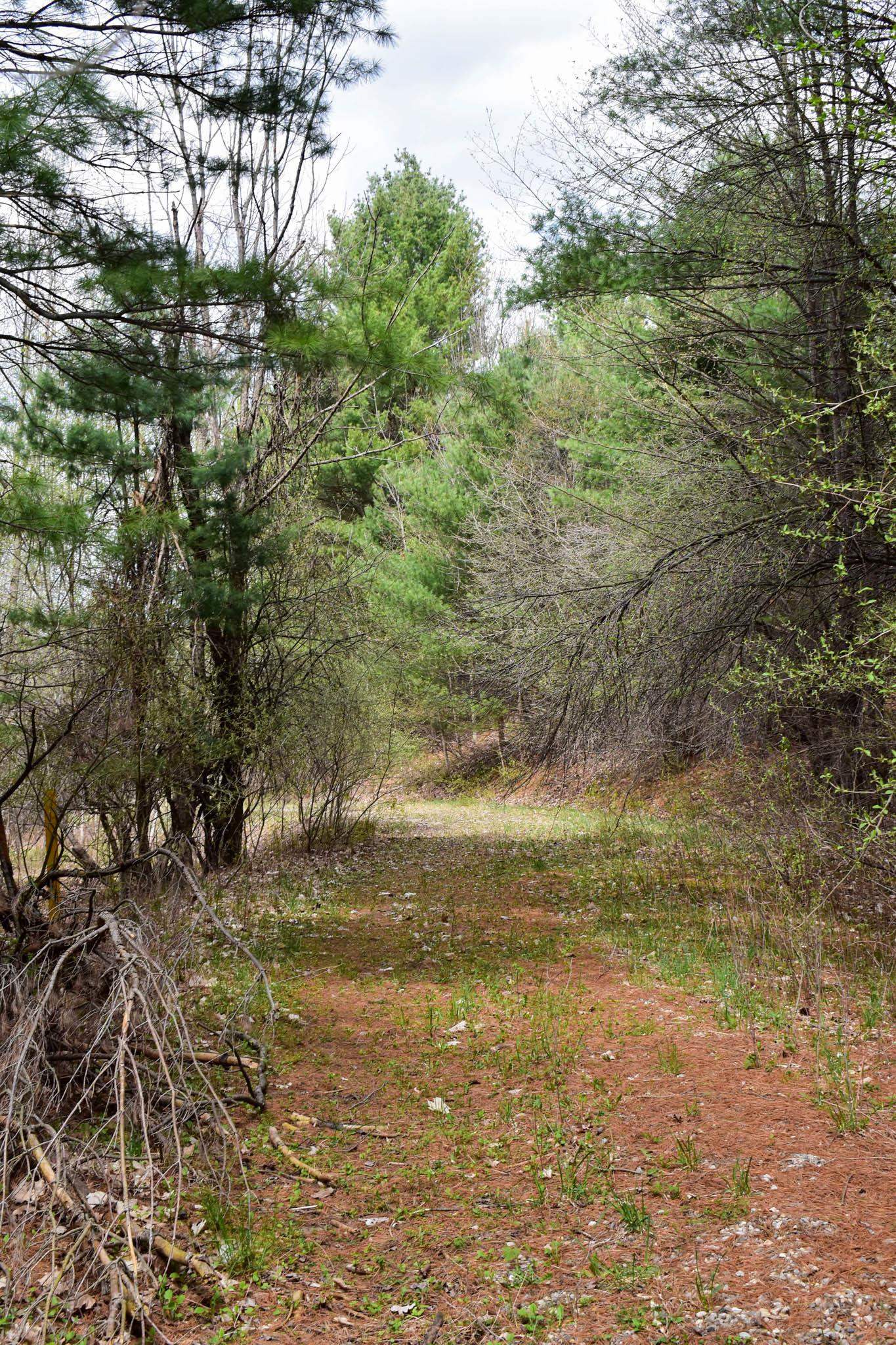 4611 Stover Road Kearney Township MI 49615