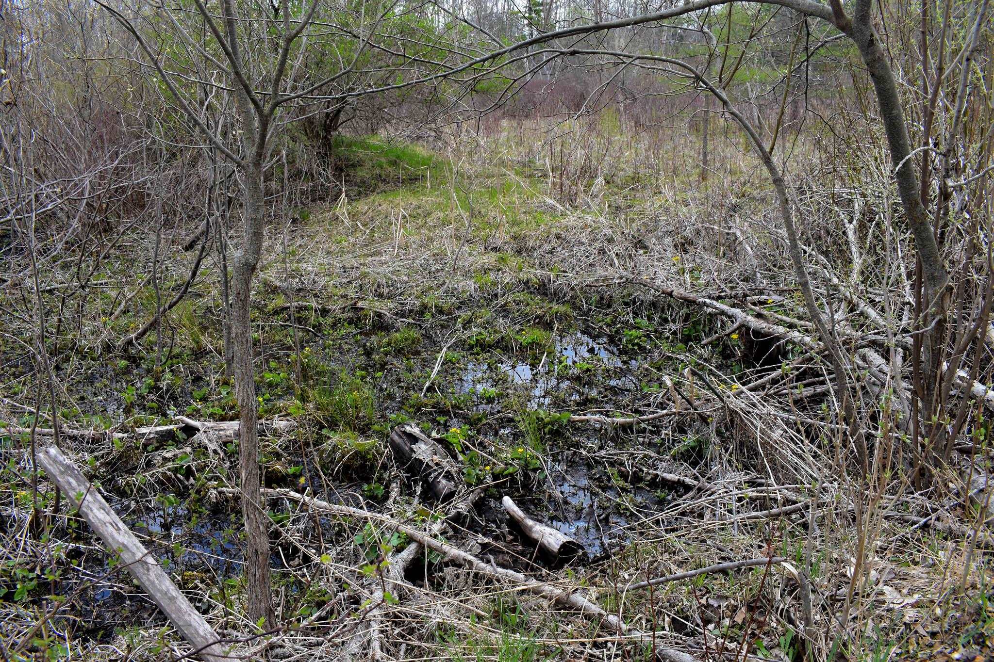 4611 Stover Road Kearney Township MI 49615