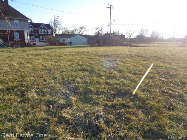 2007 Bryant Street Detroit City MI 48208