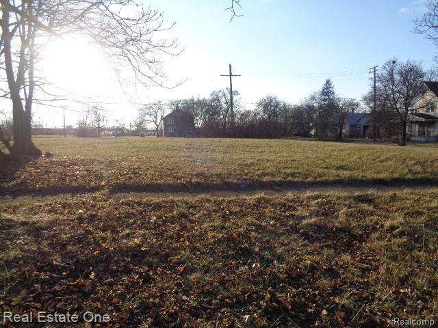2007 Bryant Street Detroit City MI 48208