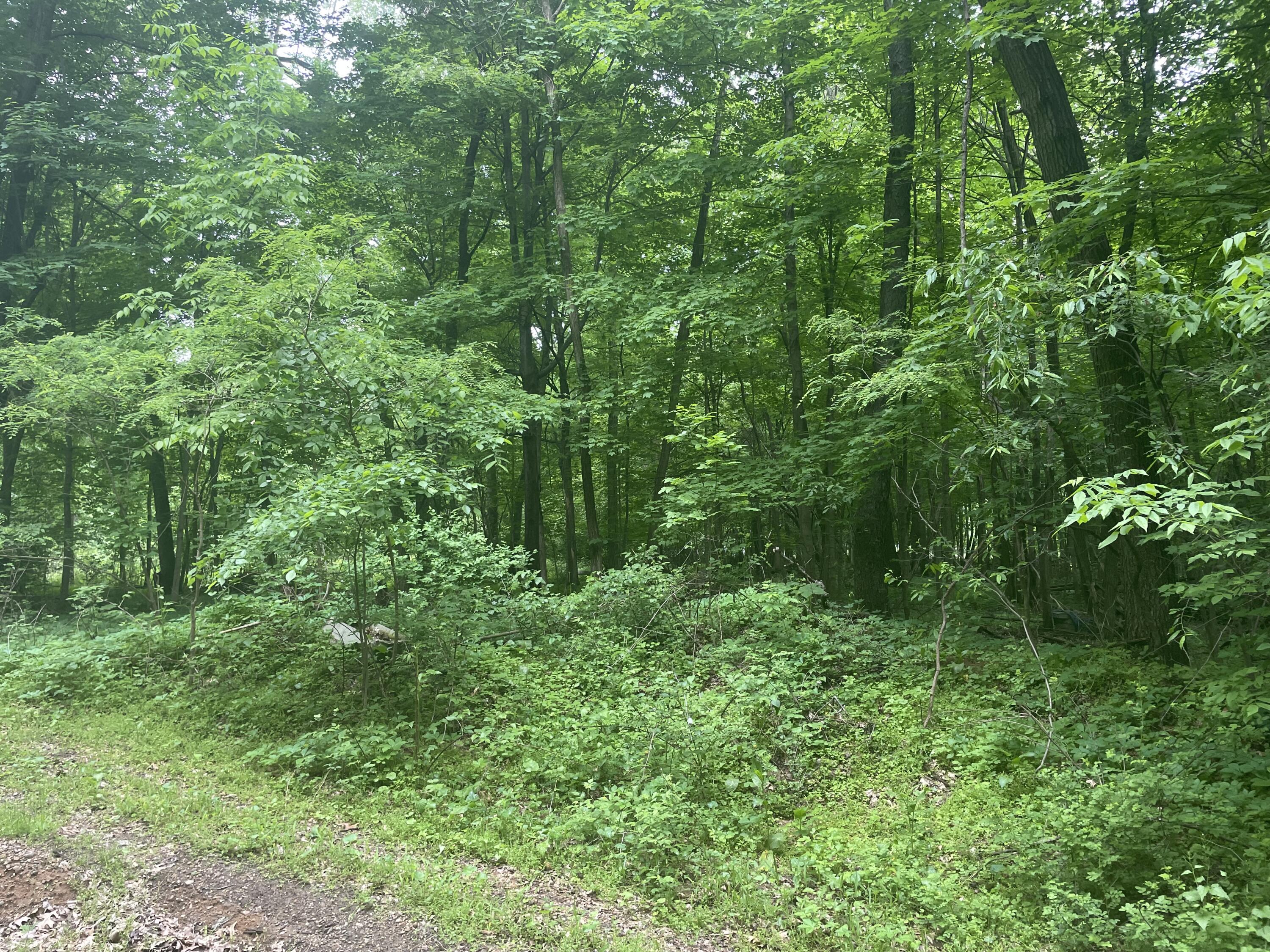 V/l Chippawa Circle Drive Sherwood Township MI 49089