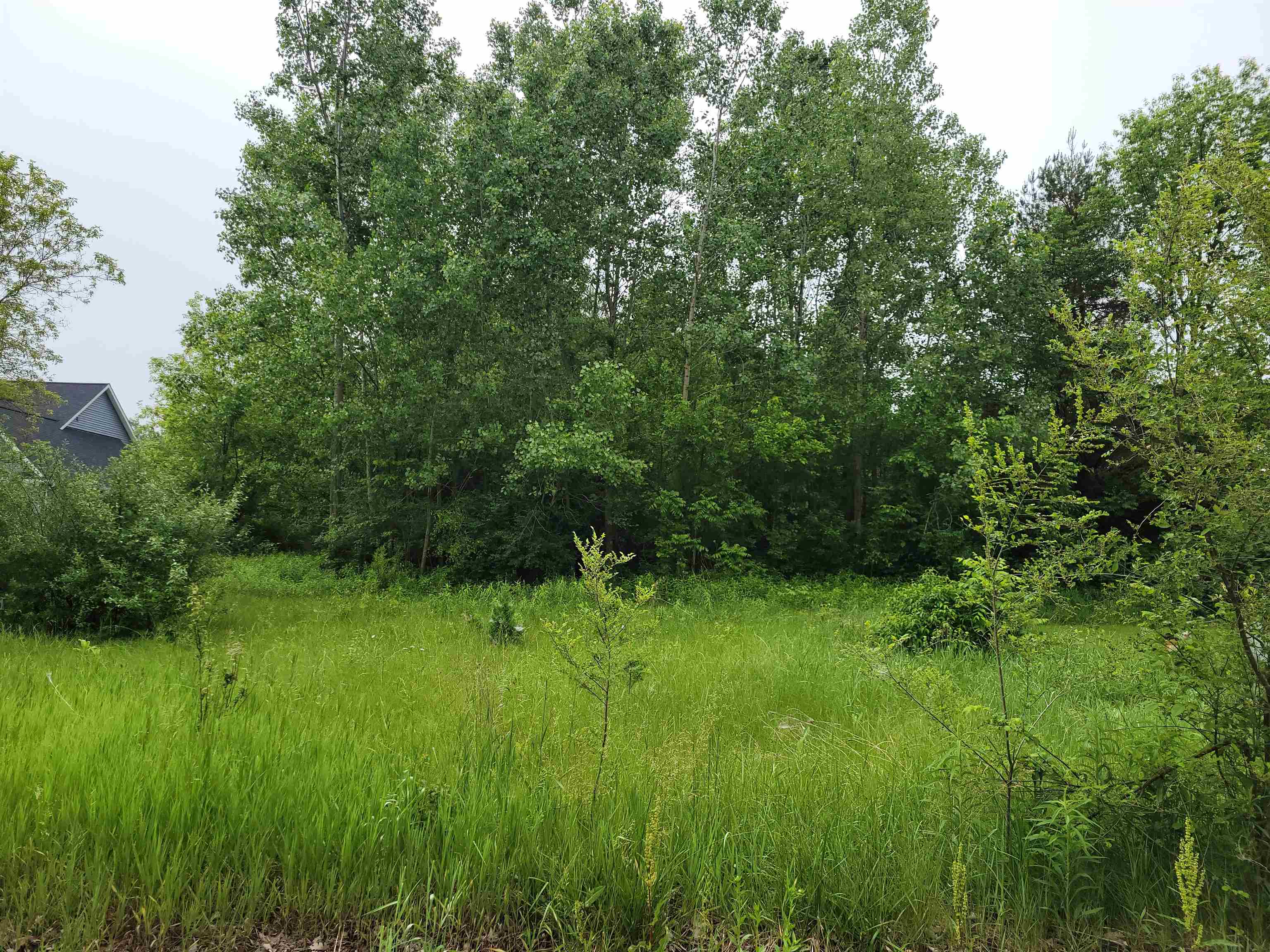 1375 Elm Street Vienna Charter Township MI 48420