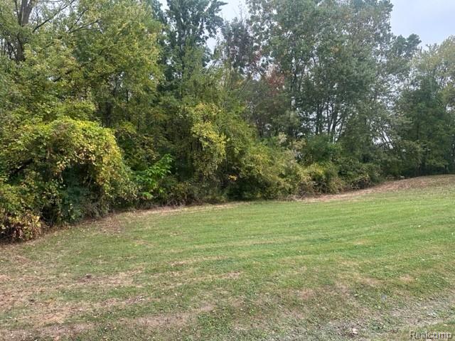Lot A Chapin Street Grand Blanc Charter Township MI 48507