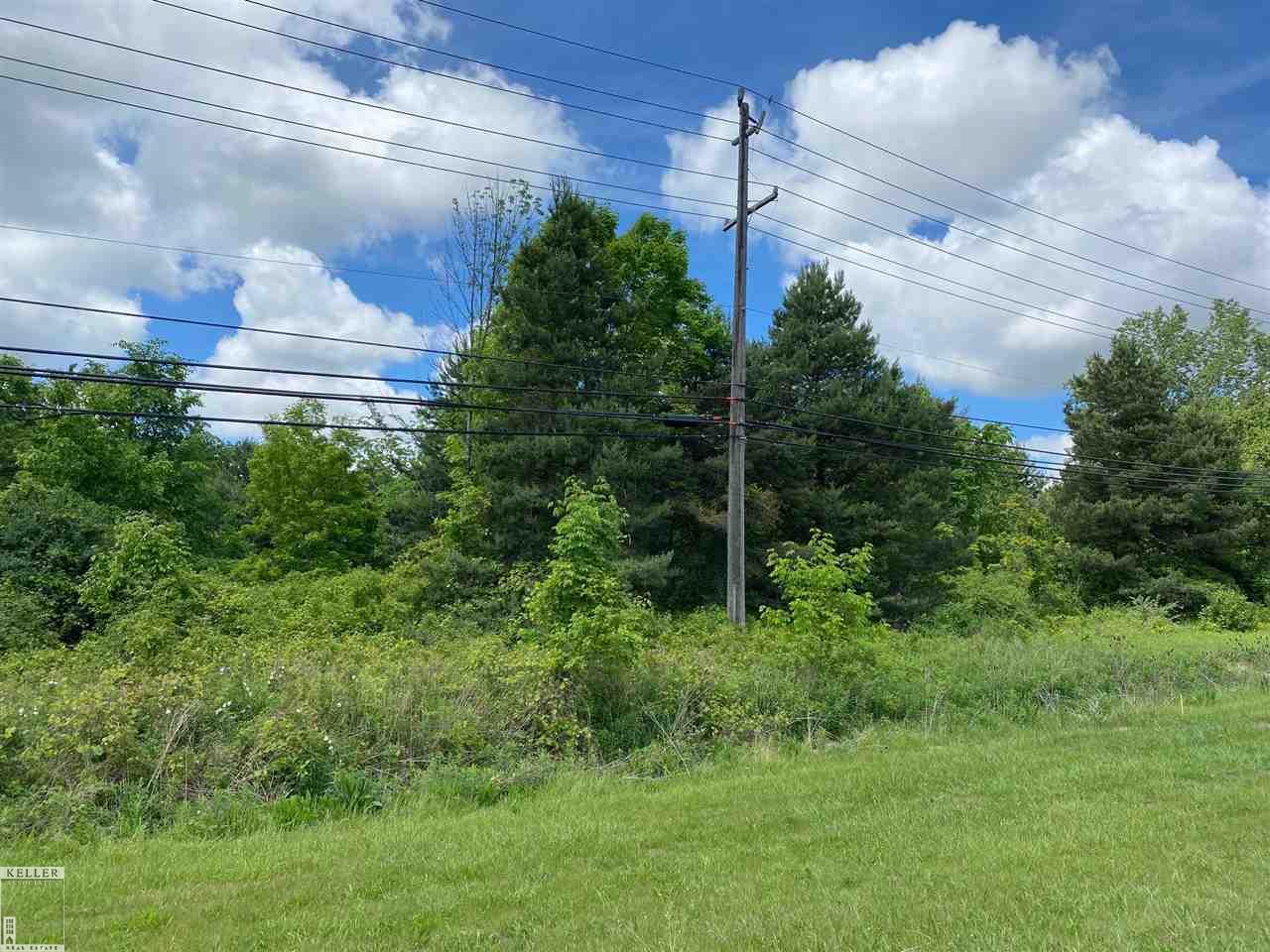 72591 Van Dyke-parcel "a" Bruce Township MI 48065