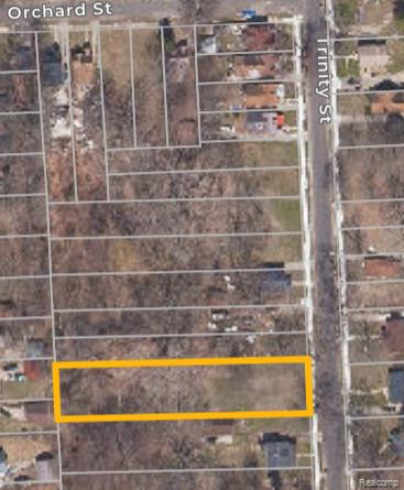 17245 Trinity Street Detroit City MI 48219